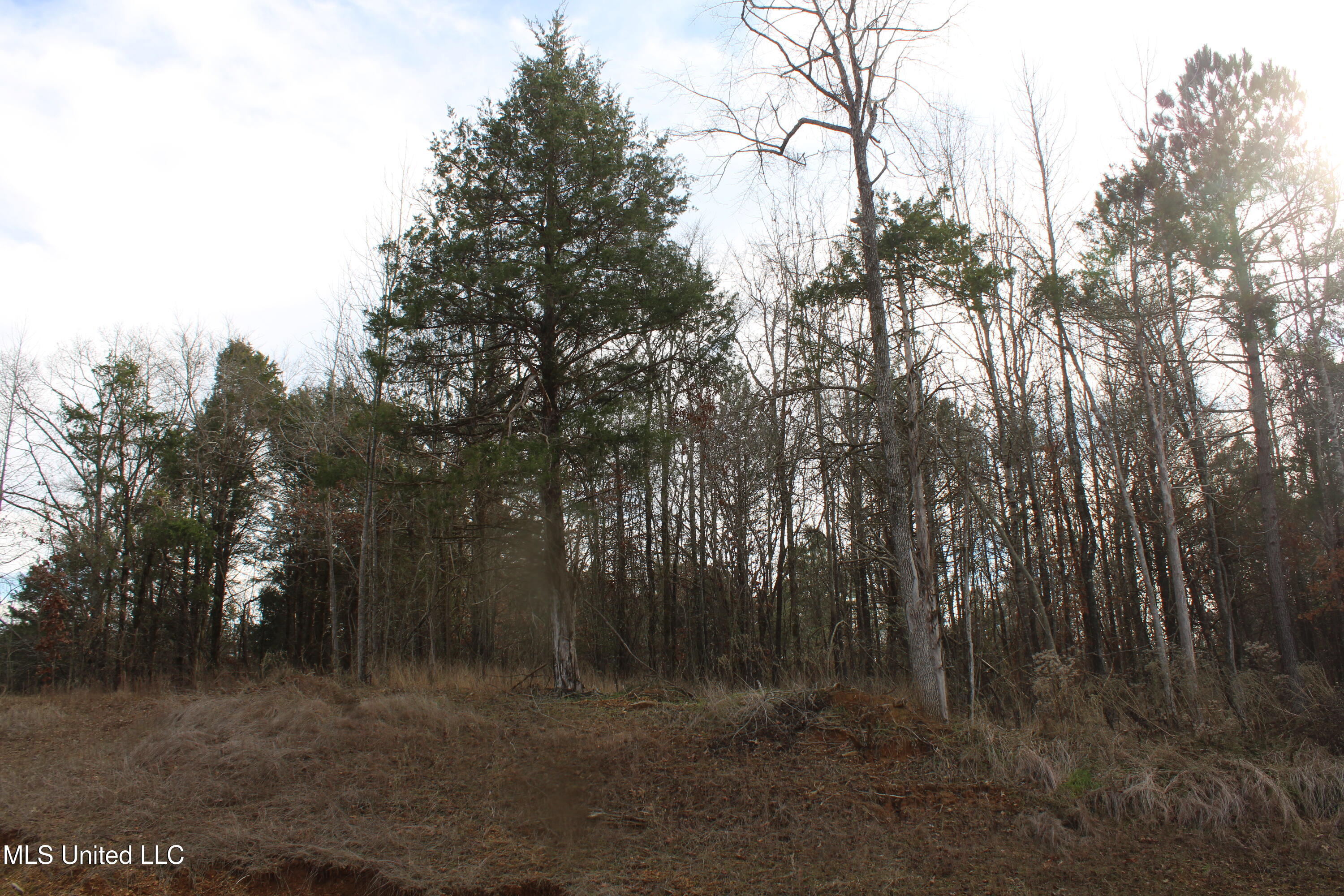 3466 Bethel Road Olive Branch, MS 38654 - Photo 29 of 86 IMG_7119