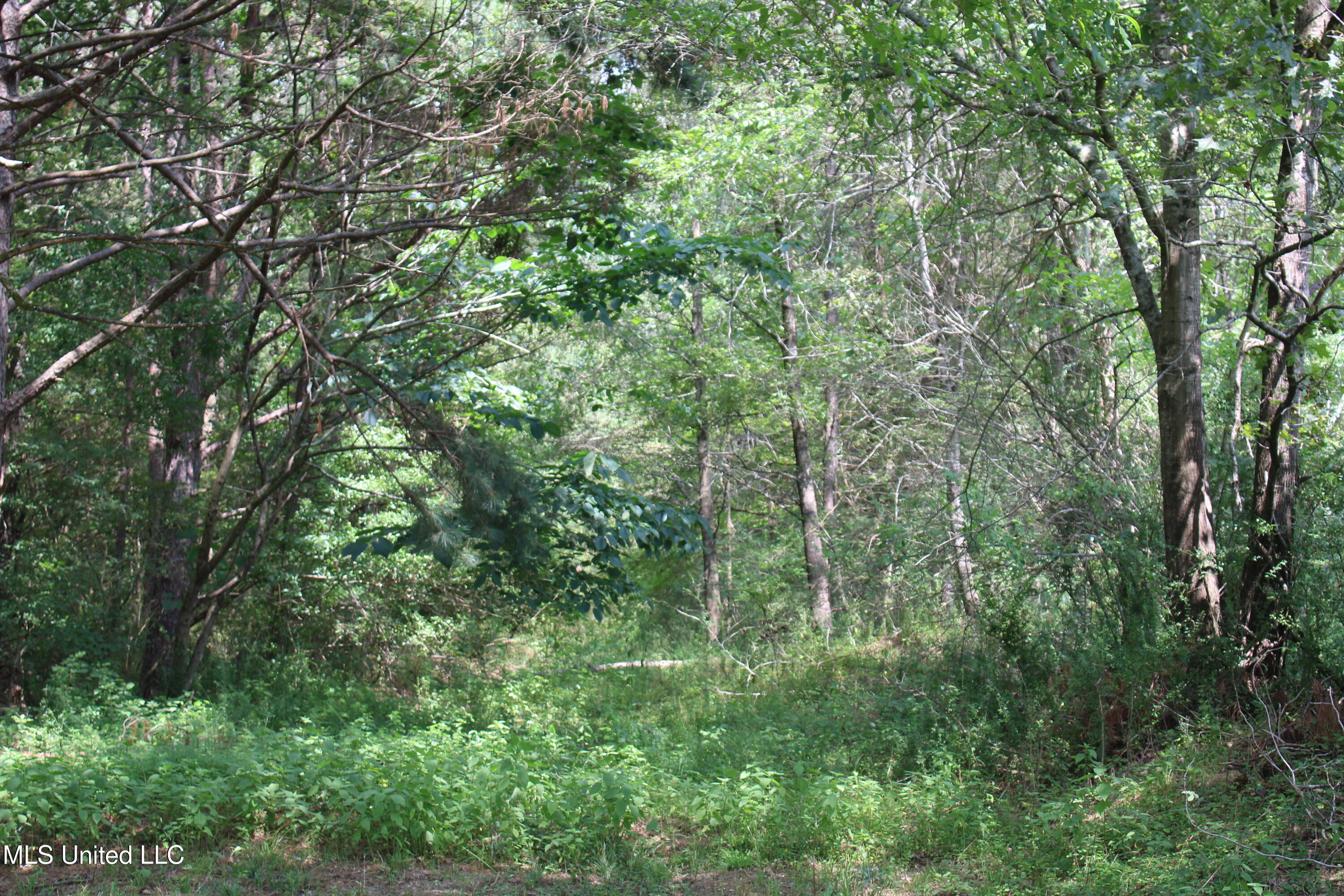 3466 Bethel Road Olive Branch, MS 38654 - Photo 30 of 86 IMG_1680