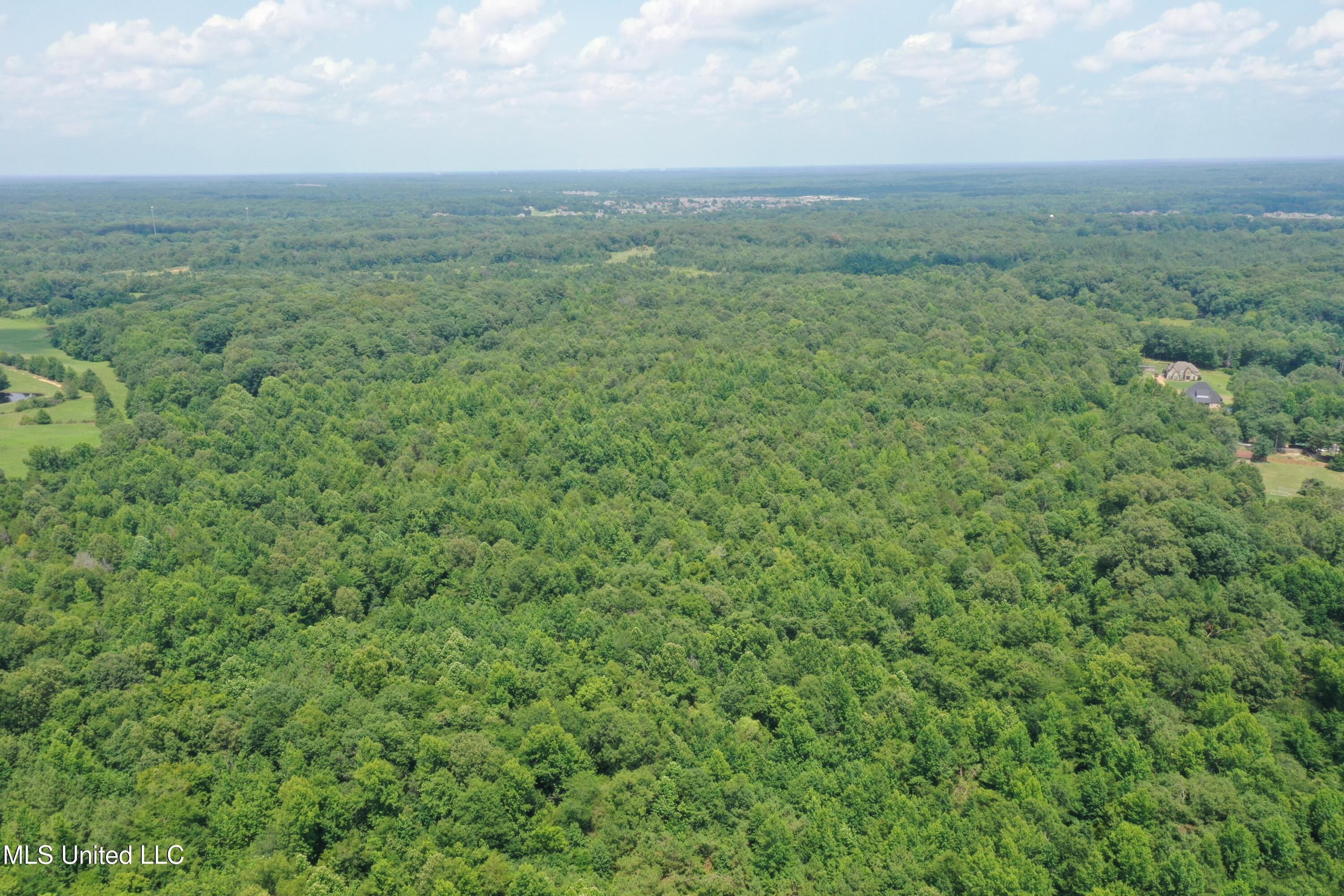 3466 Bethel Road Olive Branch, MS 38654 - Photo 3 of 86 DJI_0188