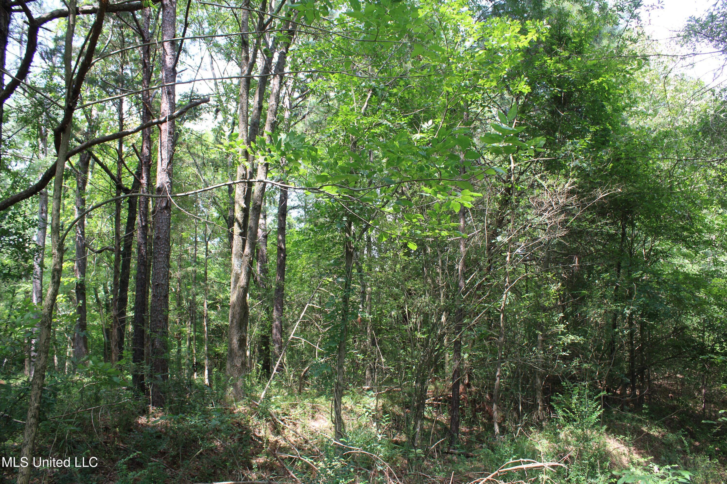 3466 Bethel Road Olive Branch, MS 38654 - Photo 31 of 86 IMG_1681