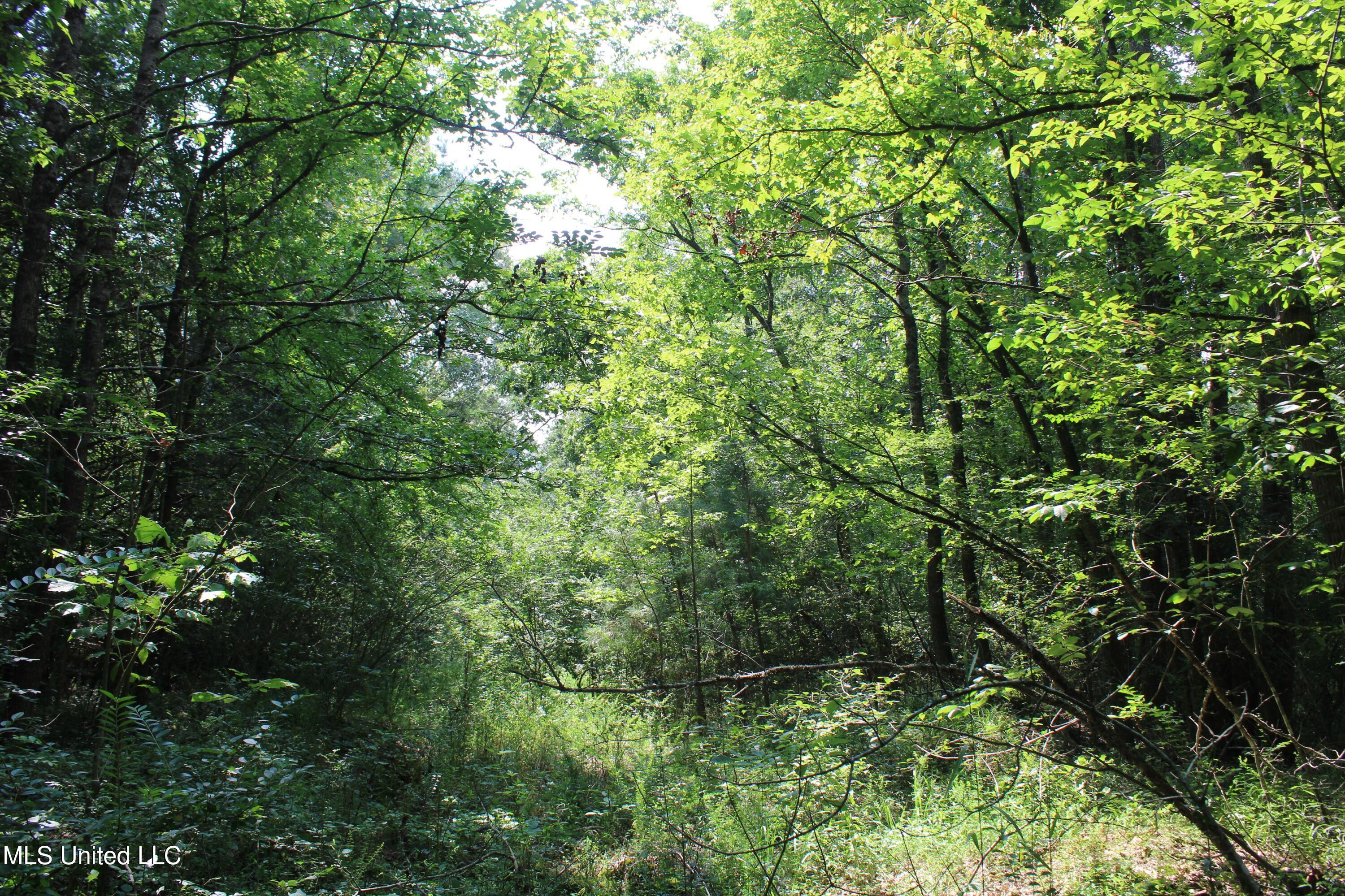 3466 Bethel Road Olive Branch, MS 38654 - Photo 36 of 86 IMG_1686