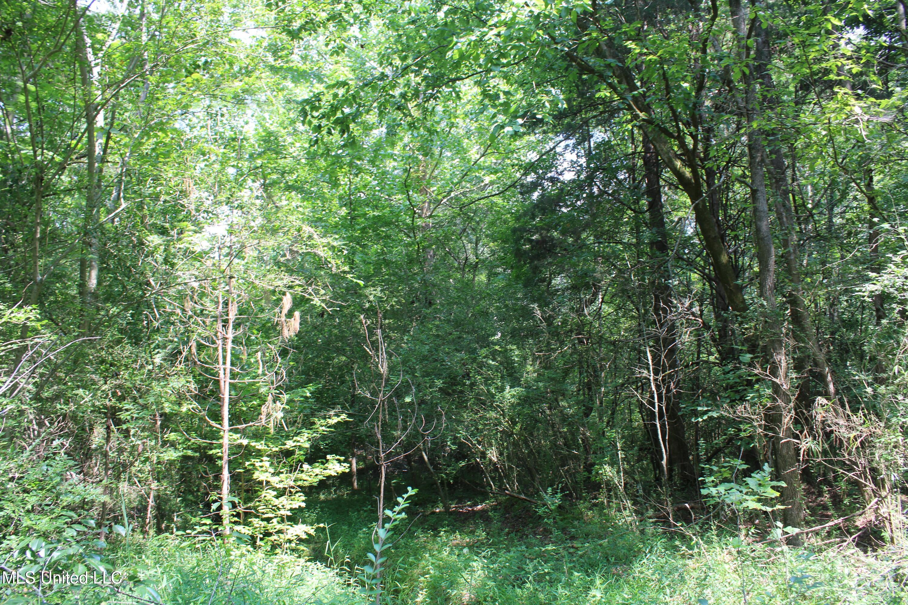 3466 Bethel Road Olive Branch, MS 38654 - Photo 38 of 86 IMG_1688