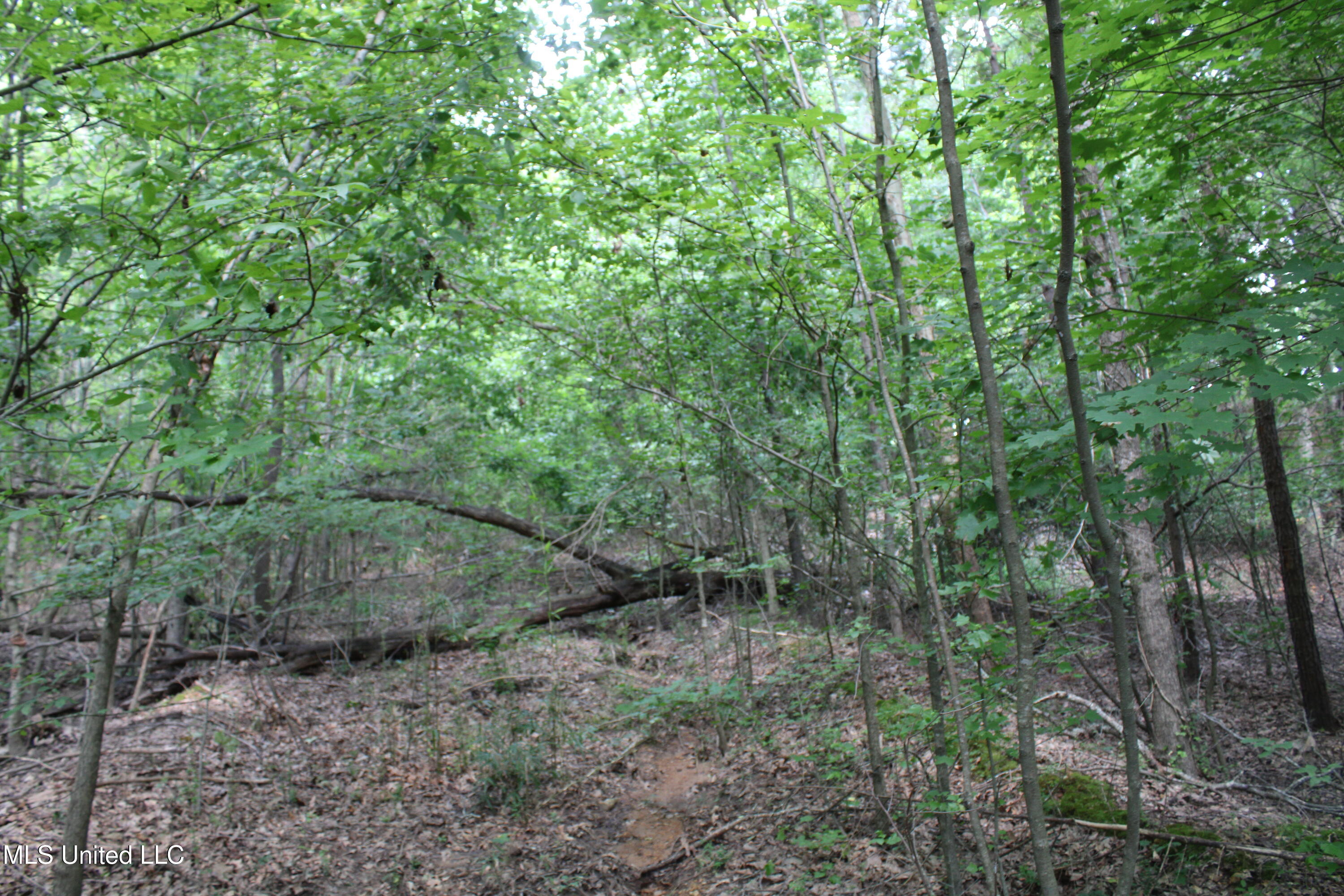 3466 Bethel Road Olive Branch, MS 38654 - Photo 40 of 86 IMG_1690