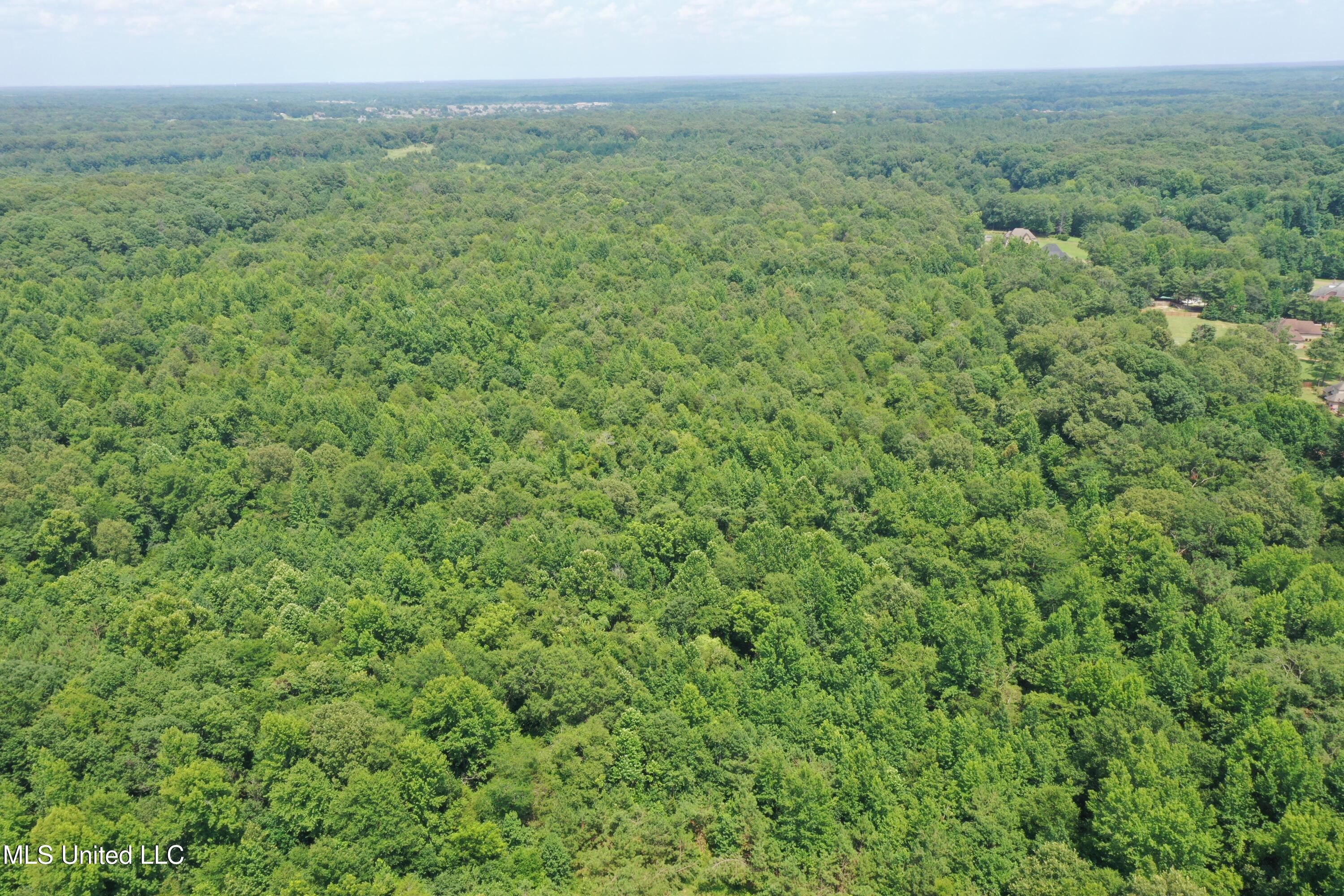 3466 Bethel Road Olive Branch, MS 38654 - Photo 4 of 86 DJI_0189