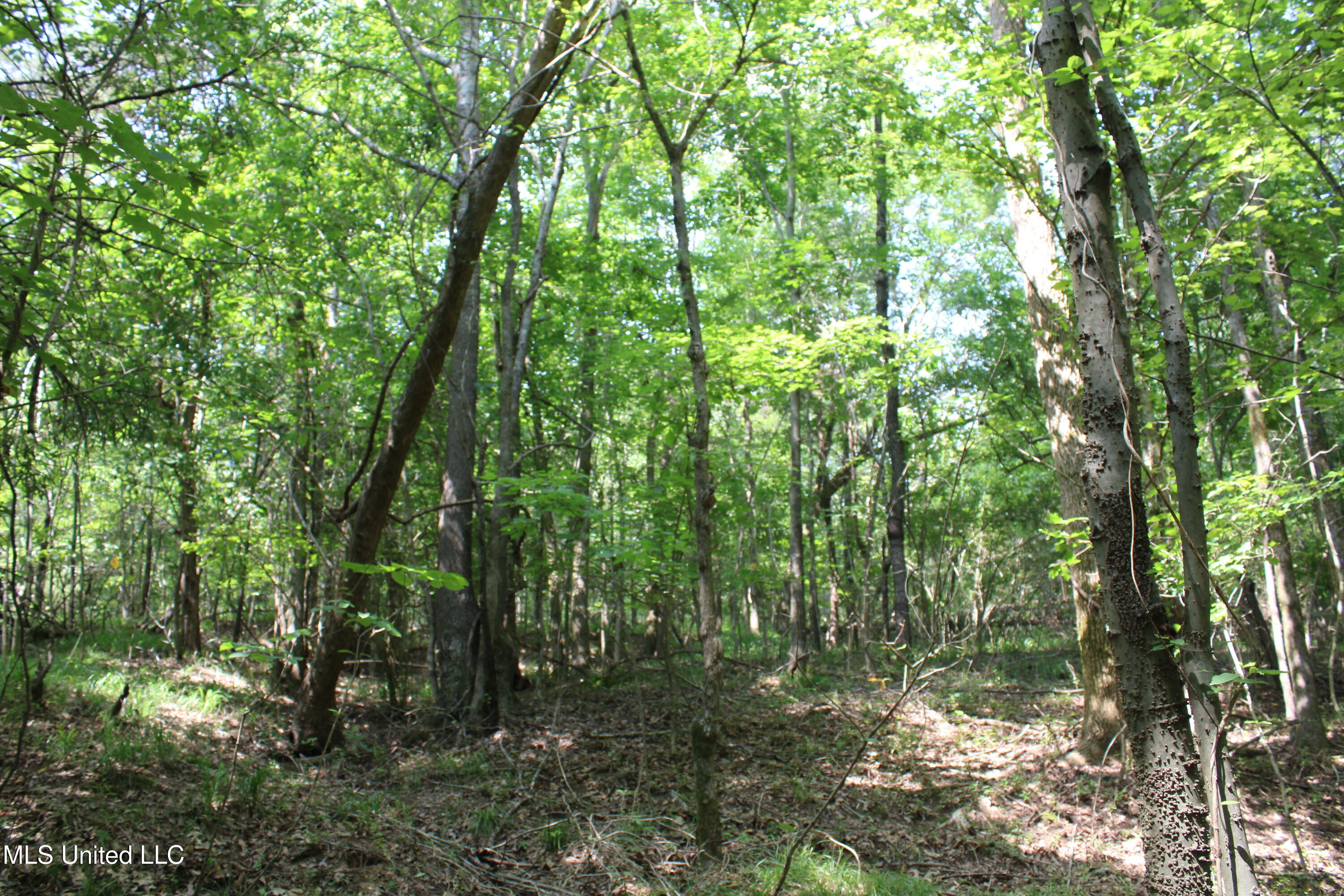 3466 Bethel Road Olive Branch, MS 38654 - Photo 41 of 86 IMG_1691