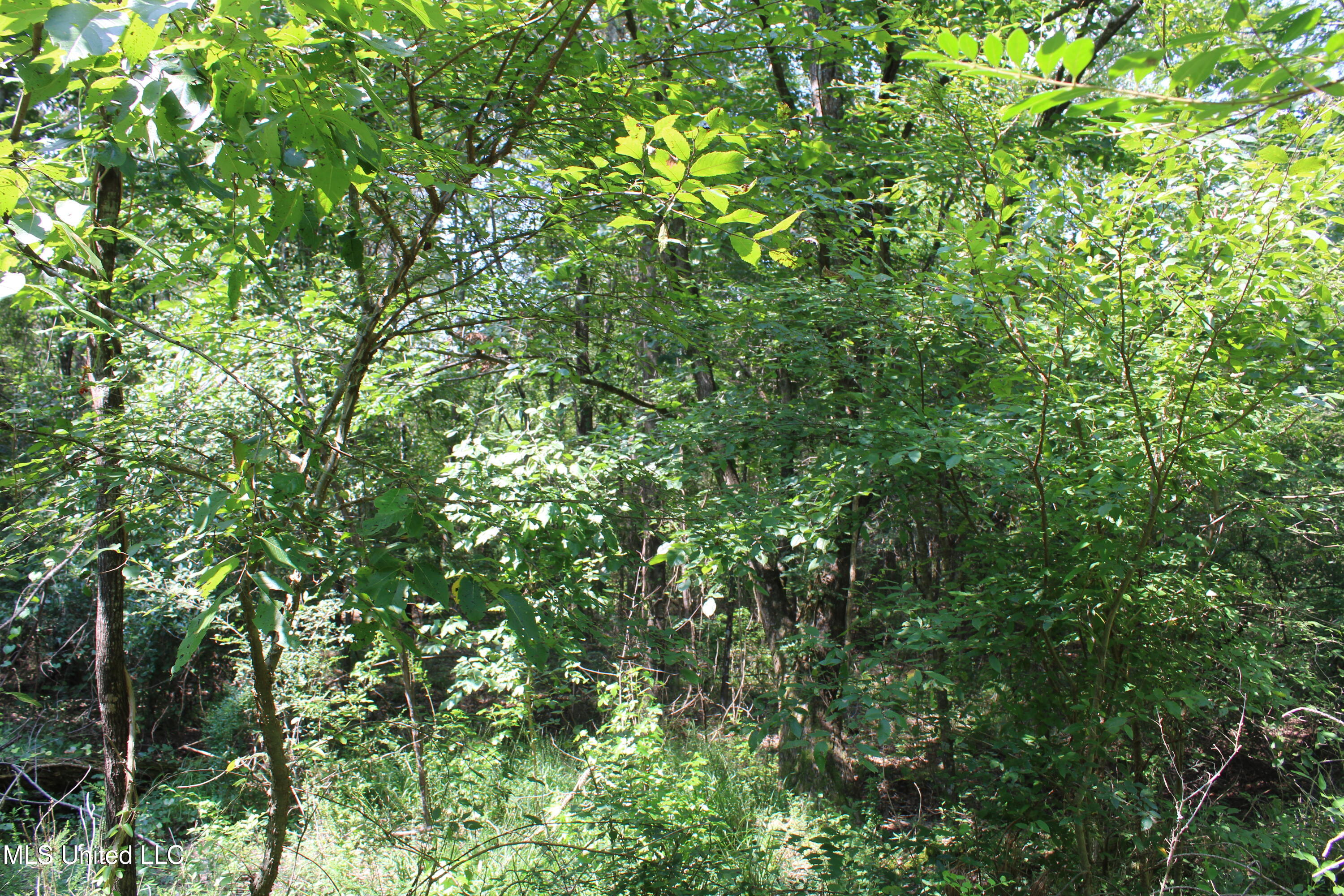 3466 Bethel Road Olive Branch, MS 38654 - Photo 47 of 86 IMG_1697