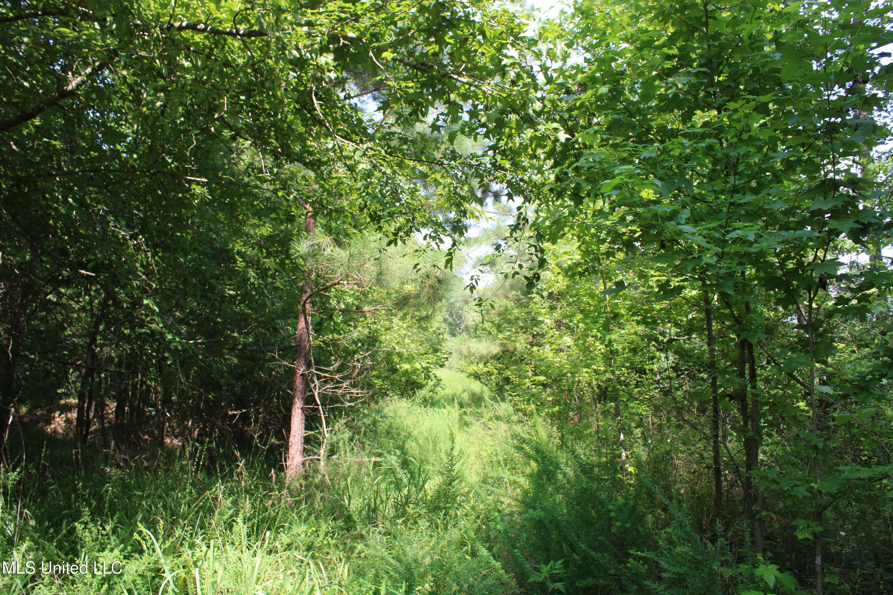 3466 Bethel Road Olive Branch, MS 38654 - Photo 48 of 86 IMG_1698