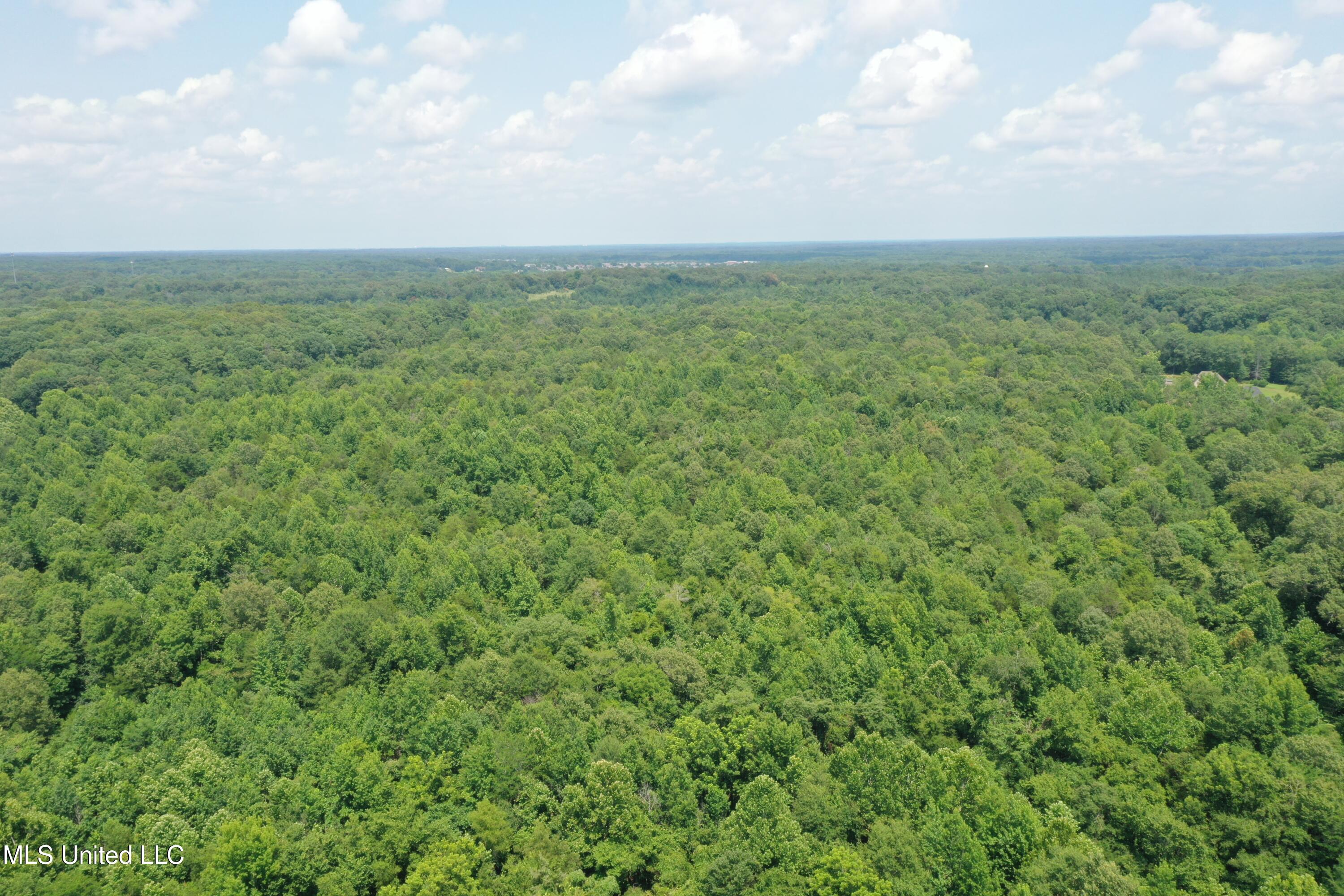 3466 Bethel Road Olive Branch, MS 38654 - Photo 5 of 86 DJI_0190