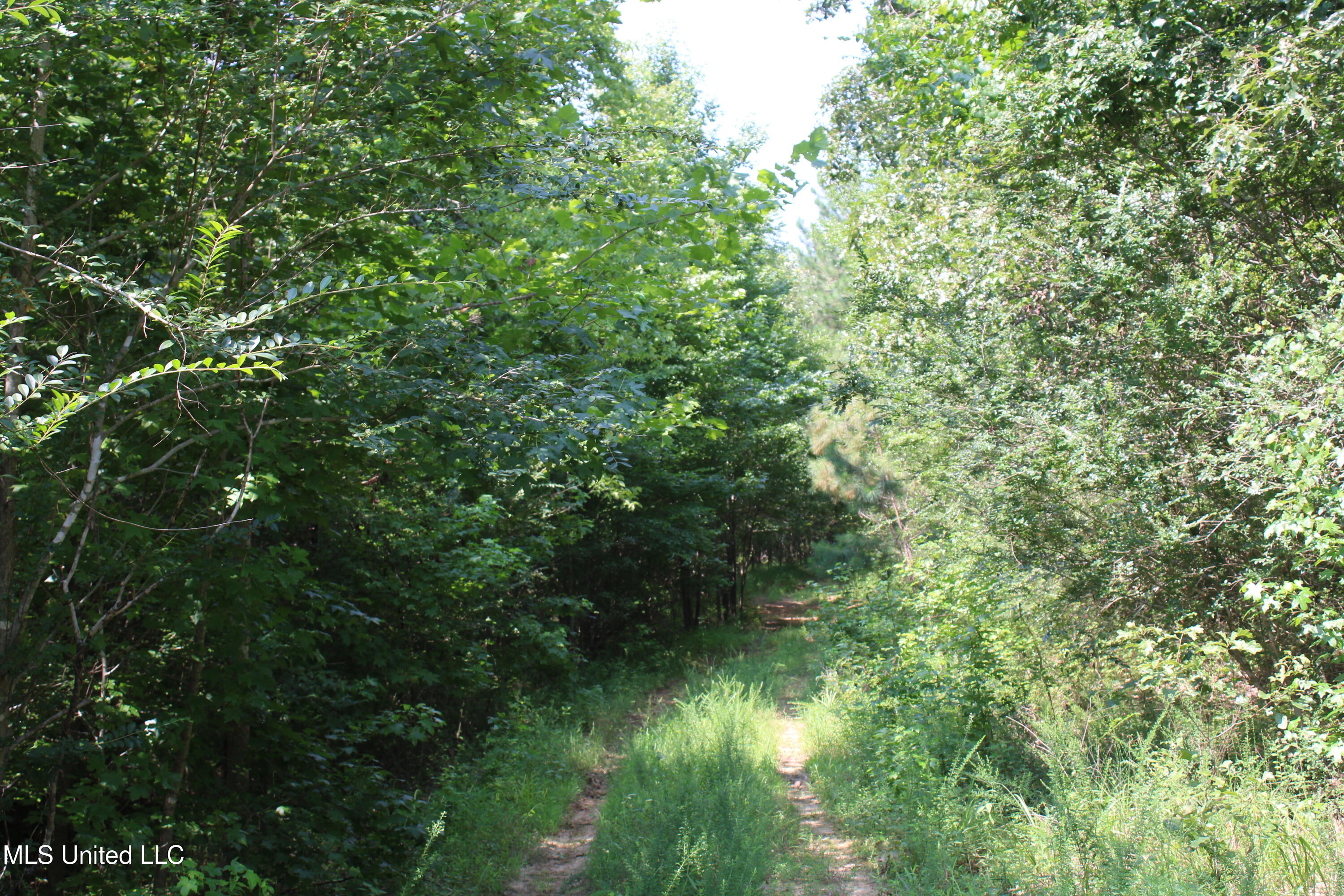 3466 Bethel Road Olive Branch, MS 38654 - Photo 53 of 86 IMG_1703