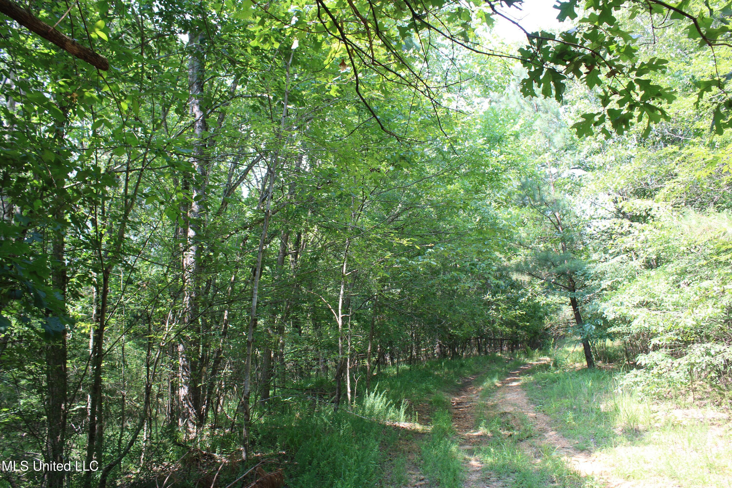 3466 Bethel Road Olive Branch, MS 38654 - Photo 55 of 86 IMG_1705