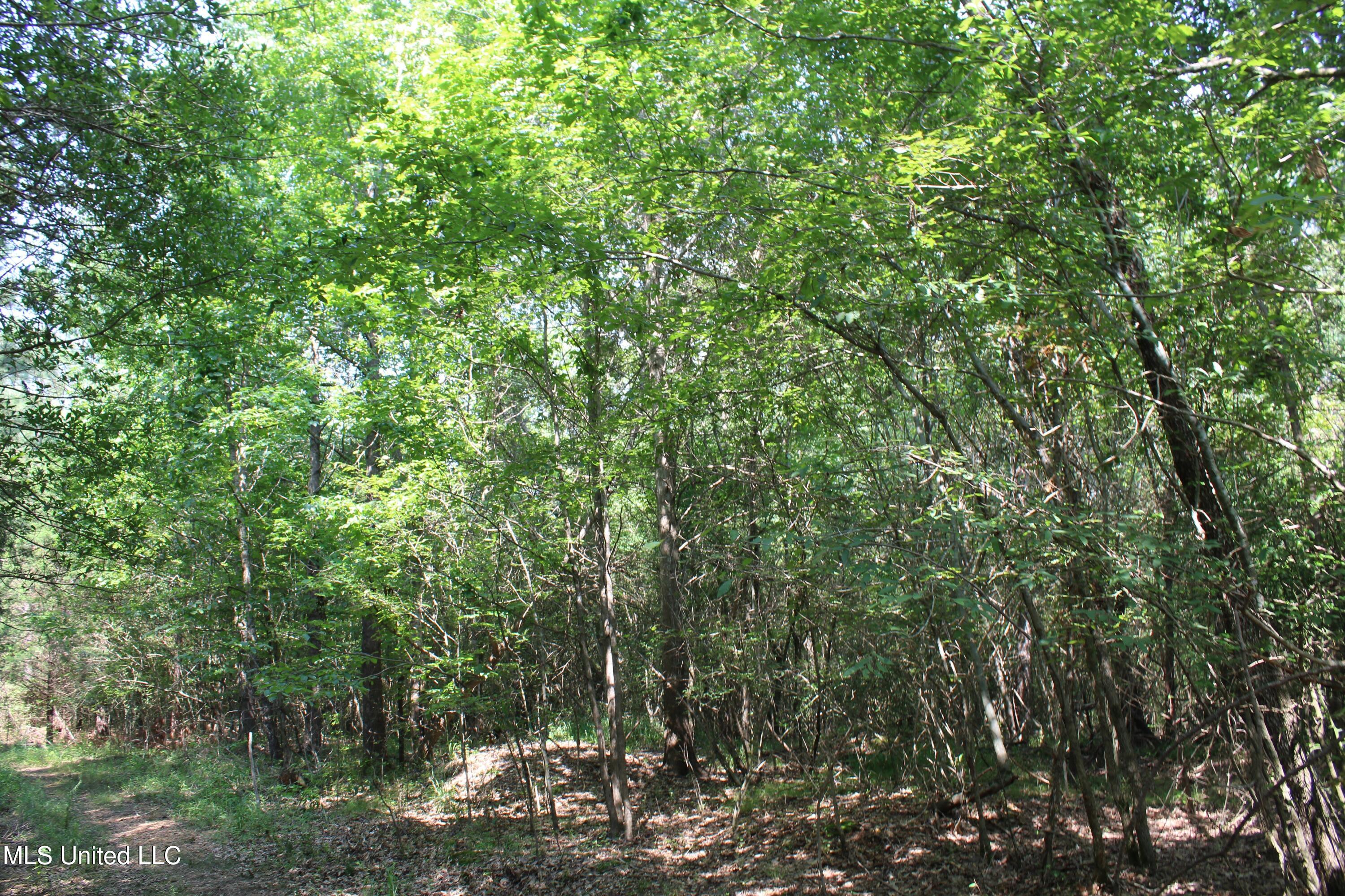 3466 Bethel Road Olive Branch, MS 38654 - Photo 58 of 86 IMG_1708