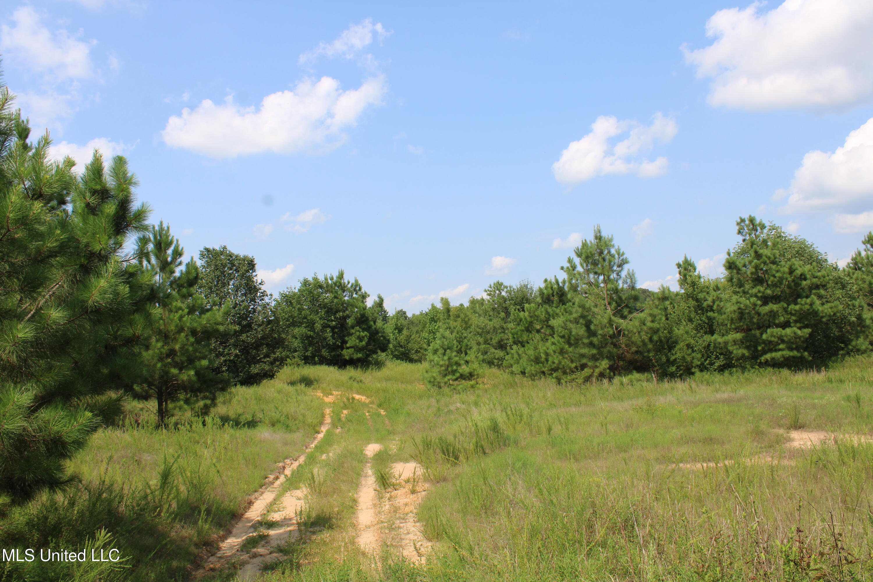3466 Bethel Road Olive Branch, MS 38654 - Photo 61 of 86 IMG_1711
