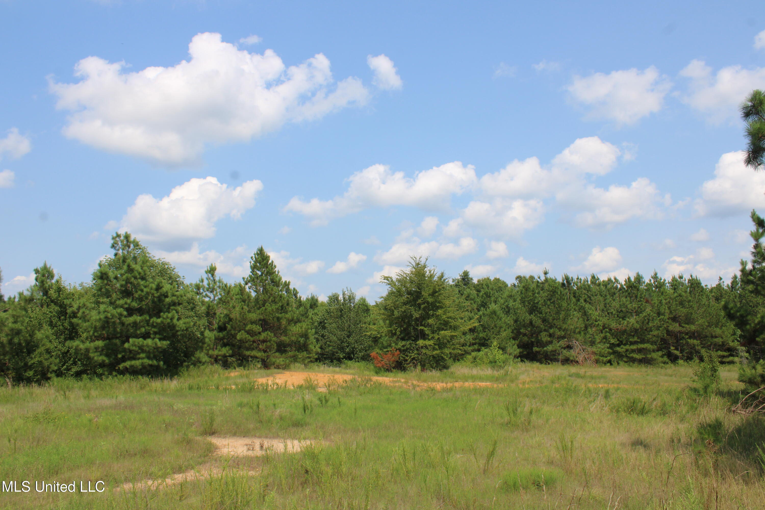 3466 Bethel Road Olive Branch, MS 38654 - Photo 62 of 86 IMG_1712