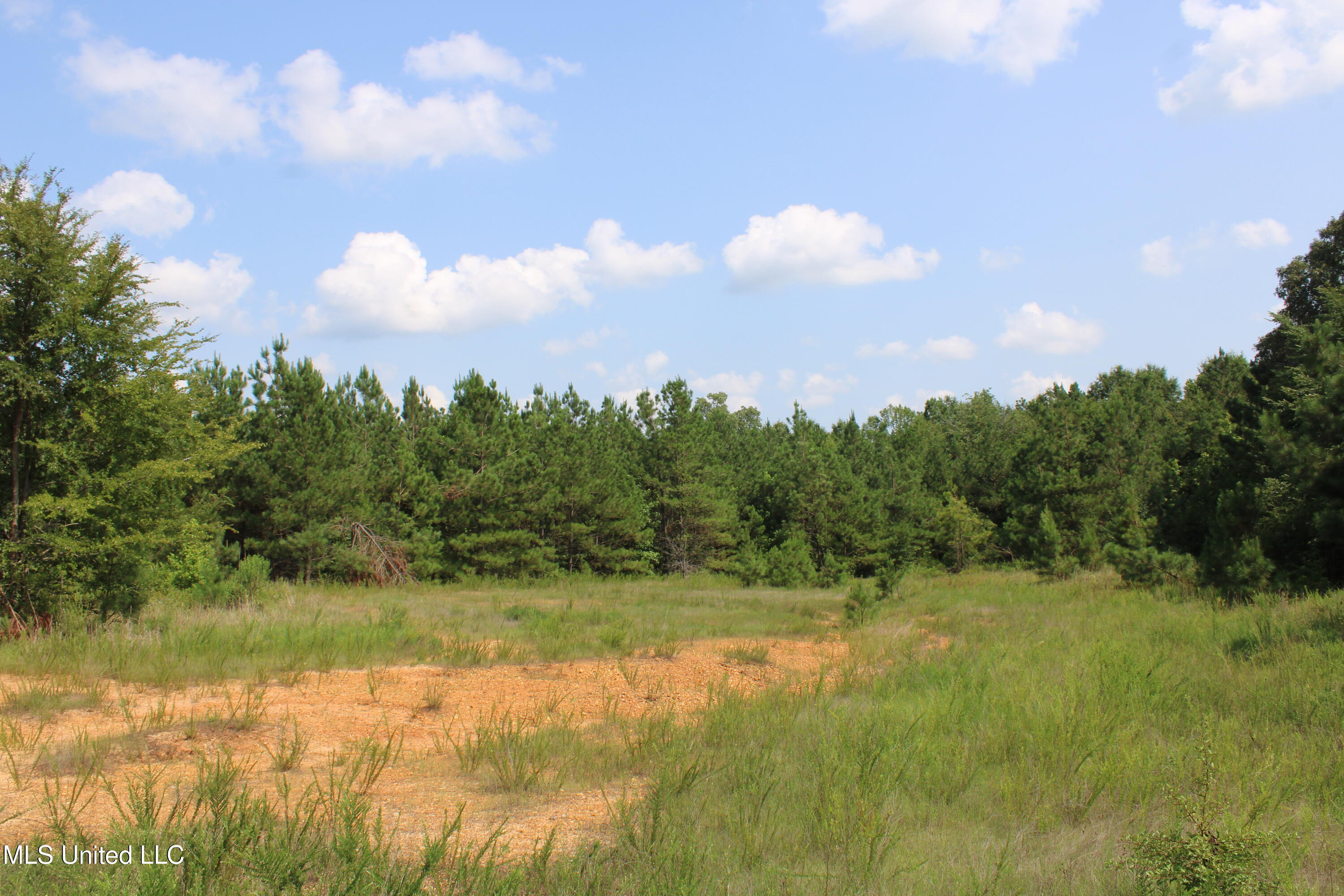 3466 Bethel Road Olive Branch, MS 38654 - Photo 63 of 86 IMG_1713