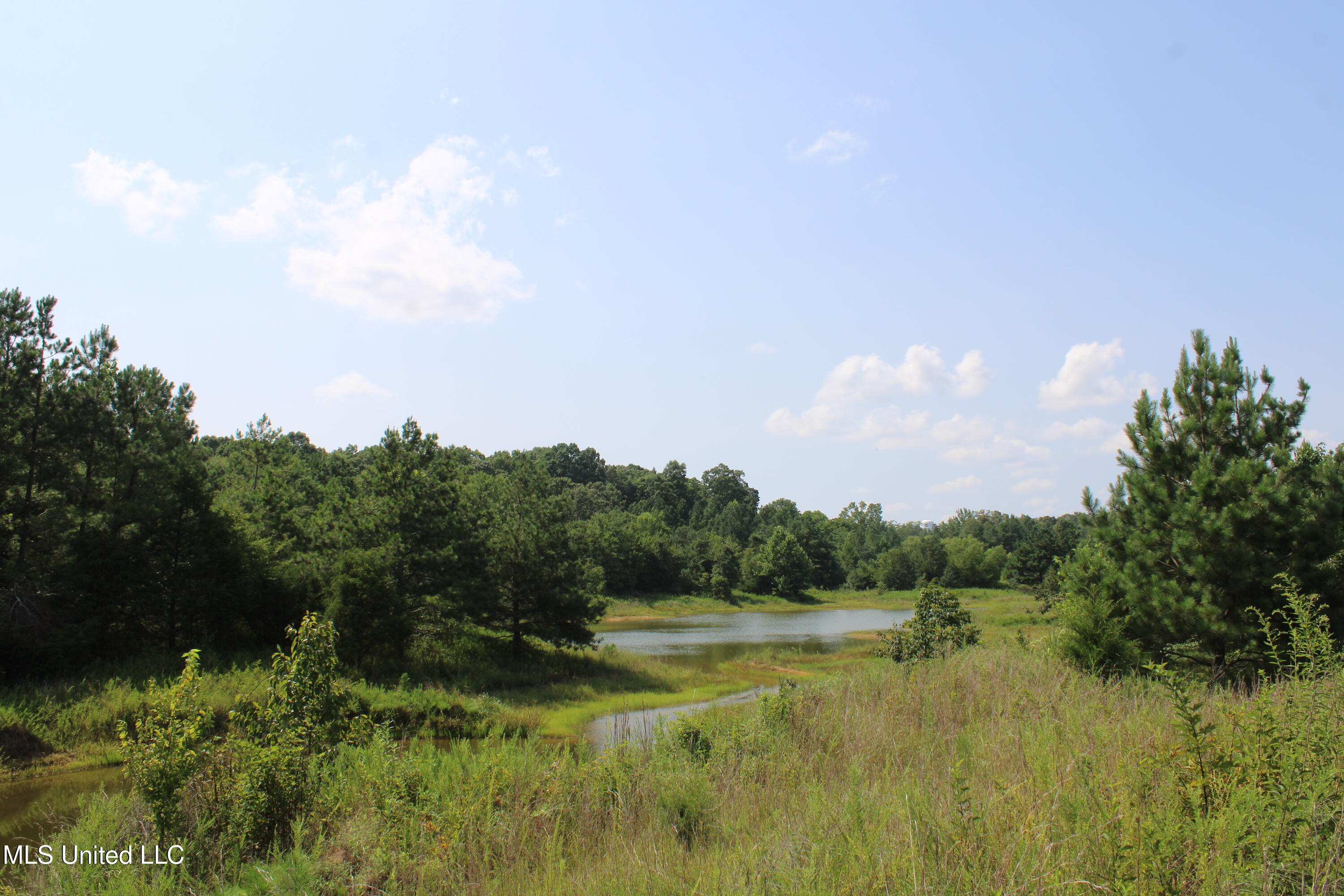 3466 Bethel Road Olive Branch, MS 38654 - Photo 65 of 86 IMG_1715