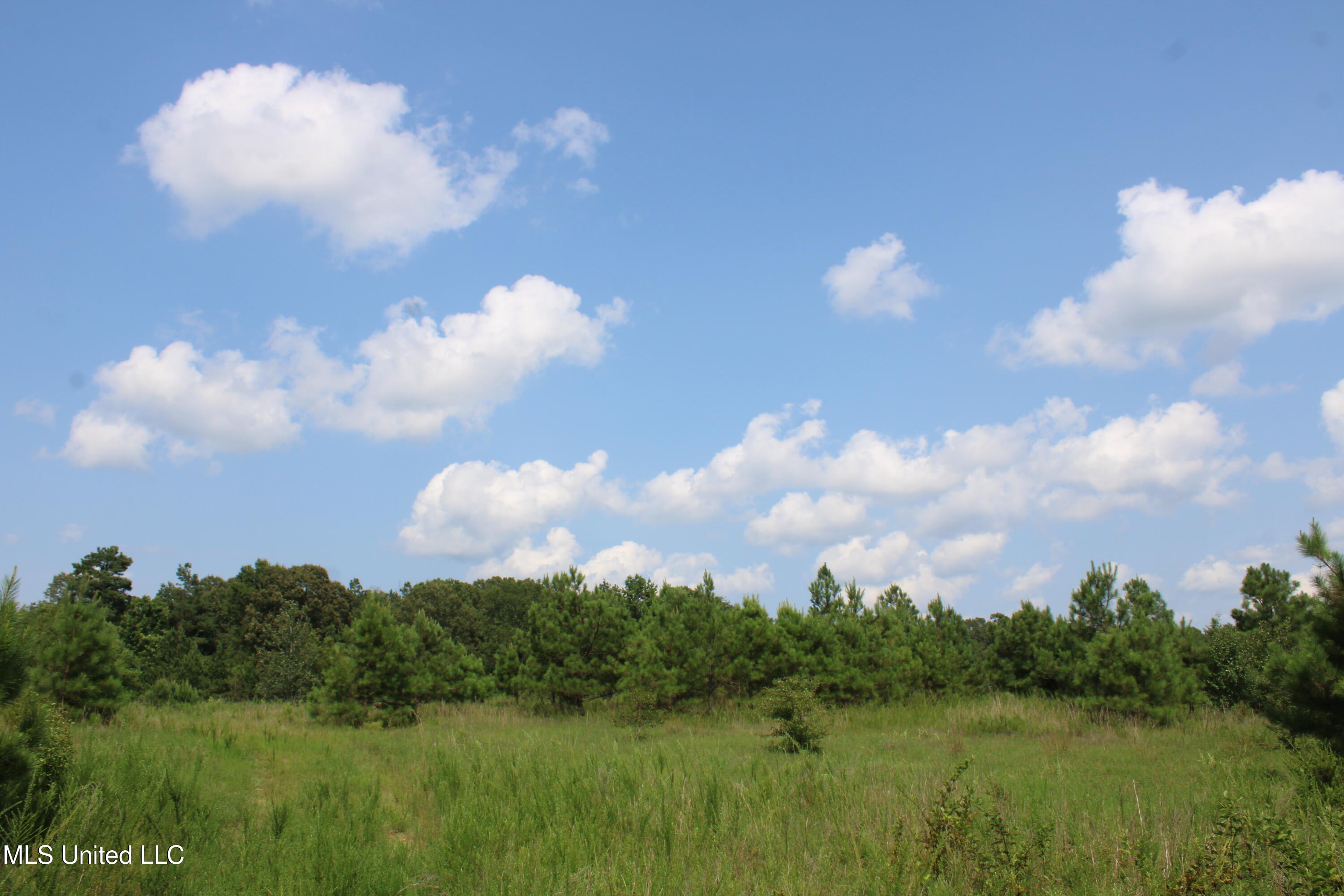 3466 Bethel Road Olive Branch, MS 38654 - Photo 67 of 86 IMG_1717