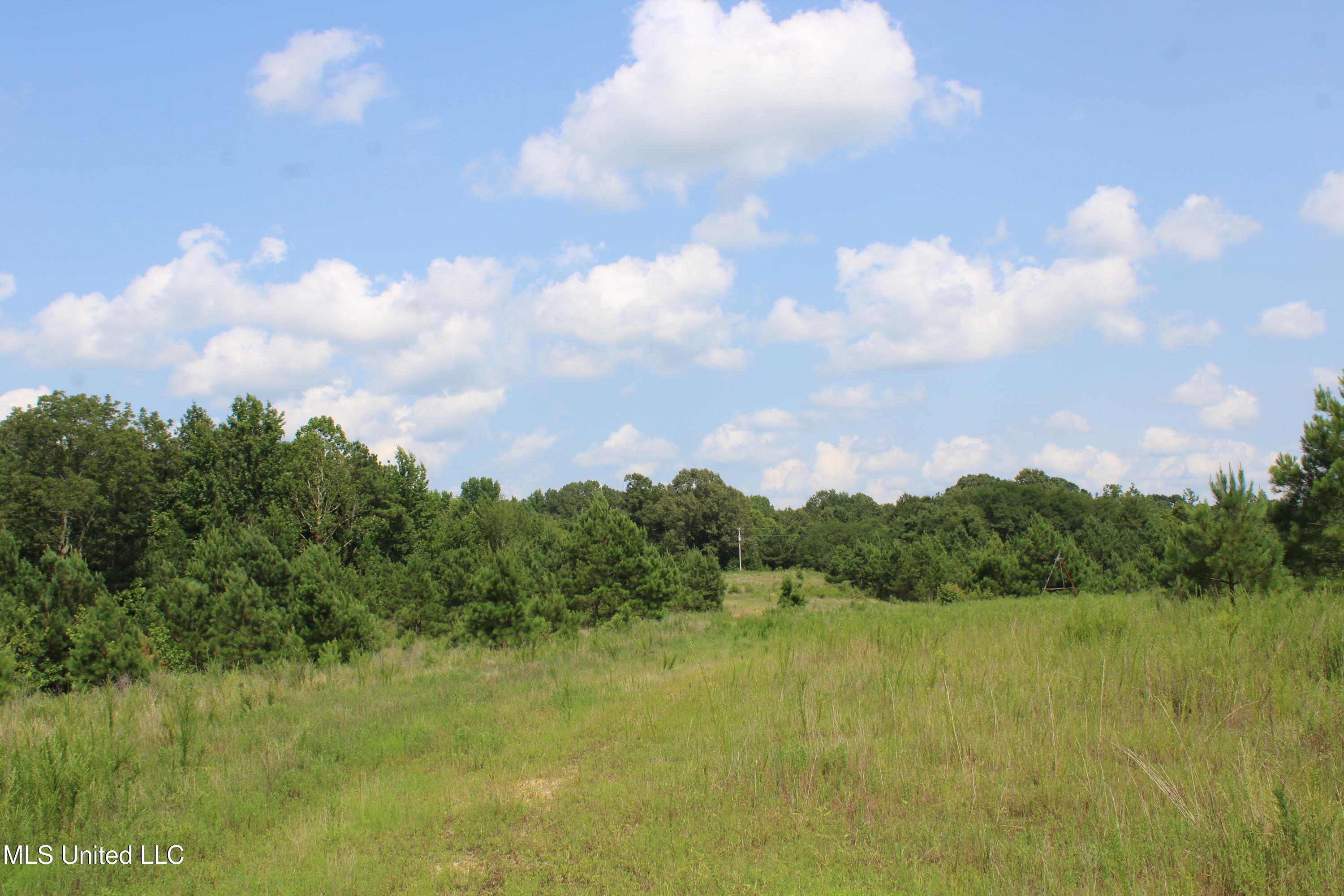 3466 Bethel Road Olive Branch, MS 38654 - Photo 68 of 86 IMG_1718