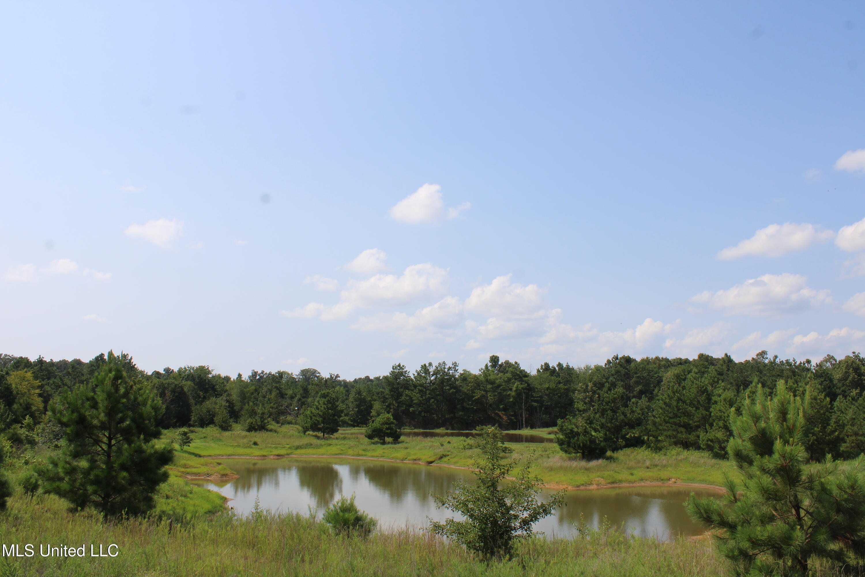 3466 Bethel Road Olive Branch, MS 38654 - Photo 69 of 86 IMG_1719