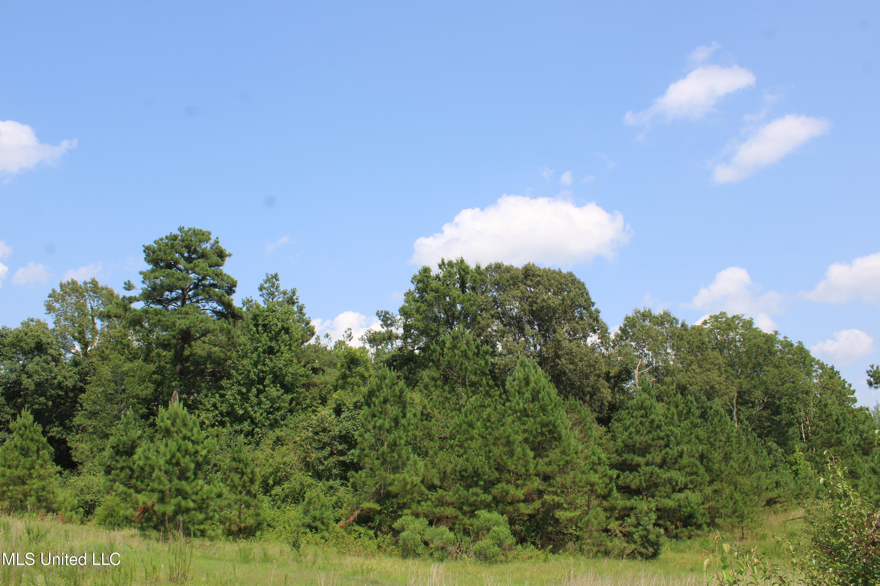 3466 Bethel Road Olive Branch, MS 38654 - Photo 70 of 86 IMG_1720