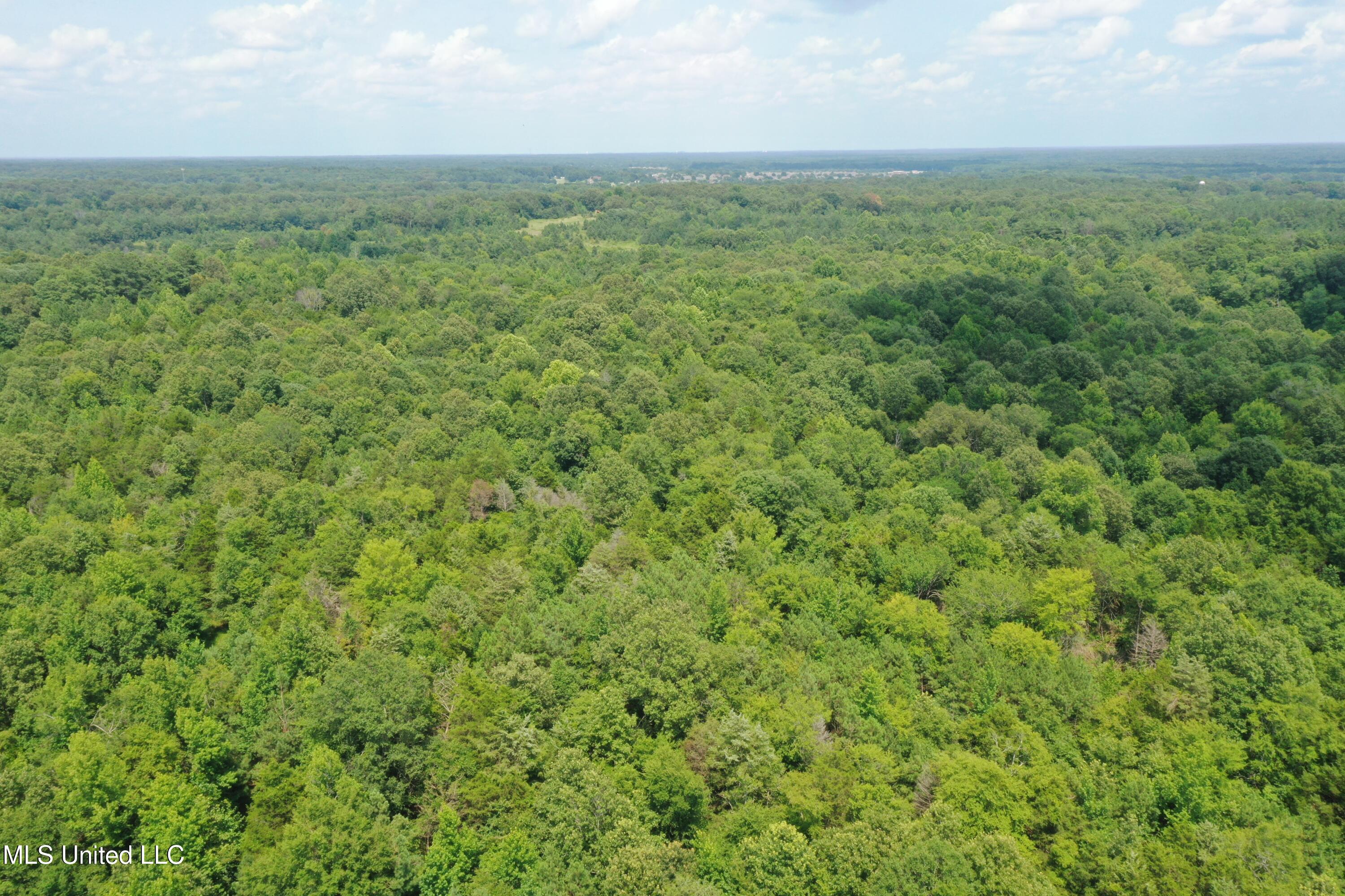 3466 Bethel Road Olive Branch, MS 38654 - Photo 7 of 86 DJI_0192