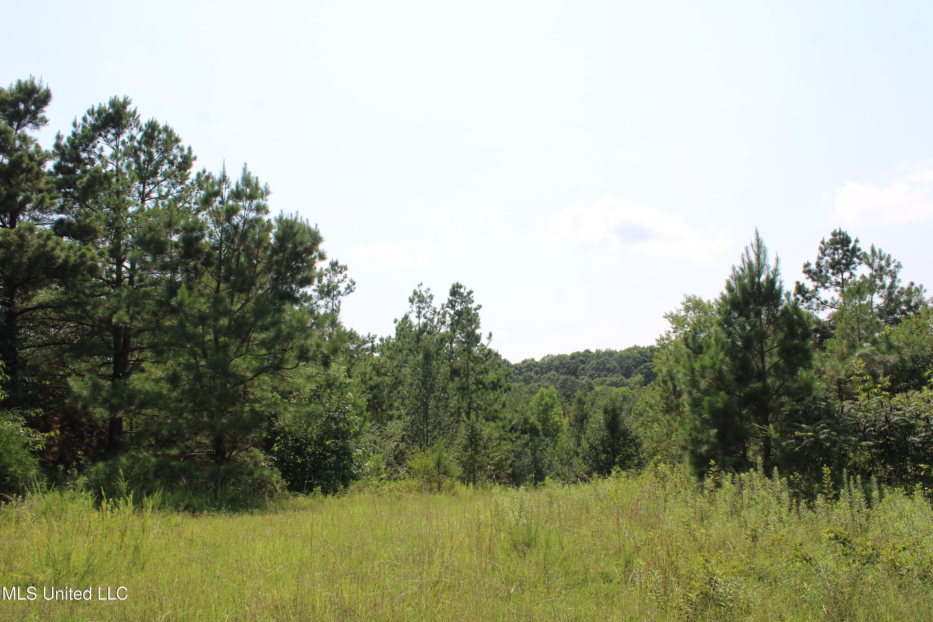 3466 Bethel Road Olive Branch, MS 38654 - Photo 71 of 86 IMG_1721