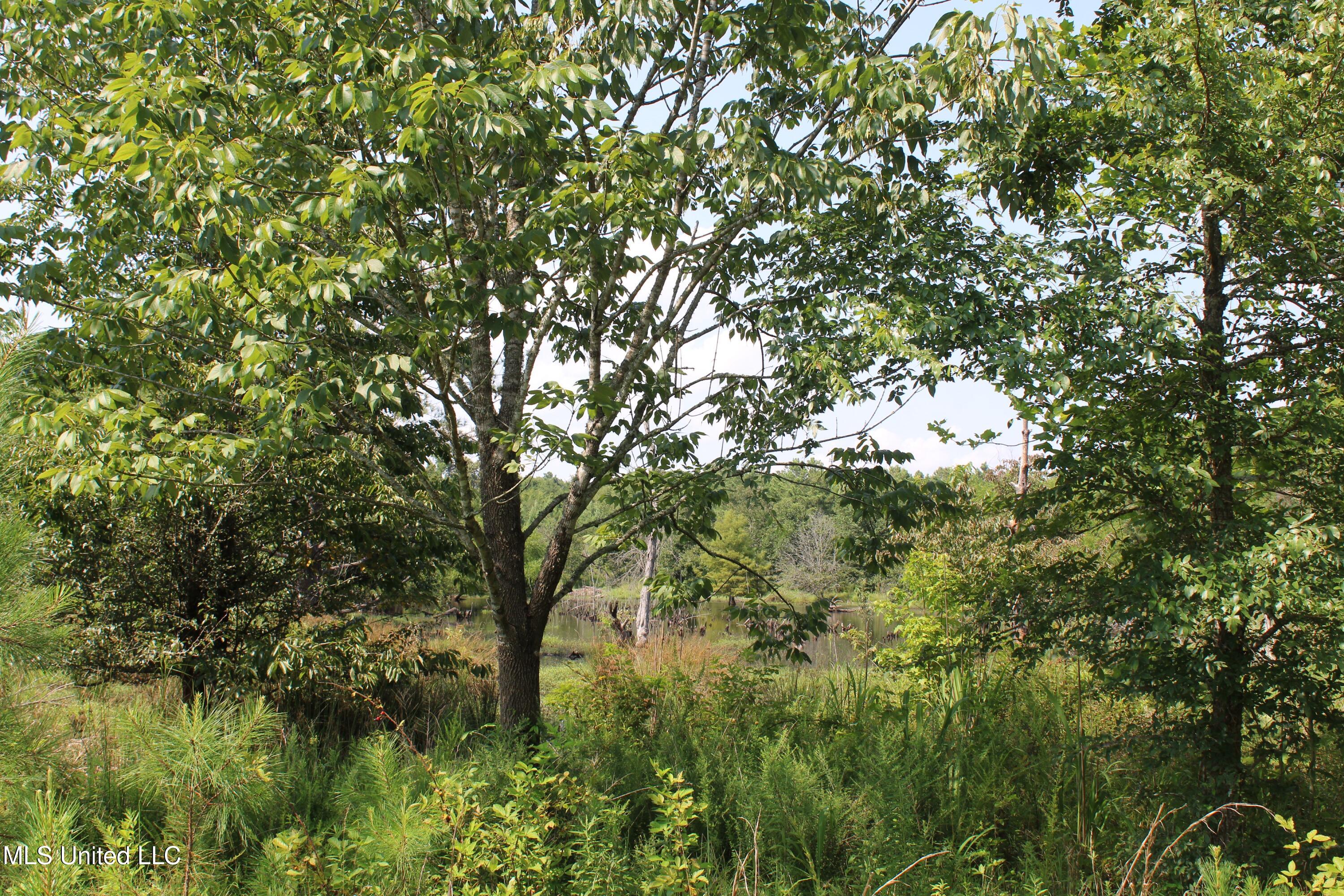 3466 Bethel Road Olive Branch, MS 38654 - Photo 72 of 86 IMG_1722