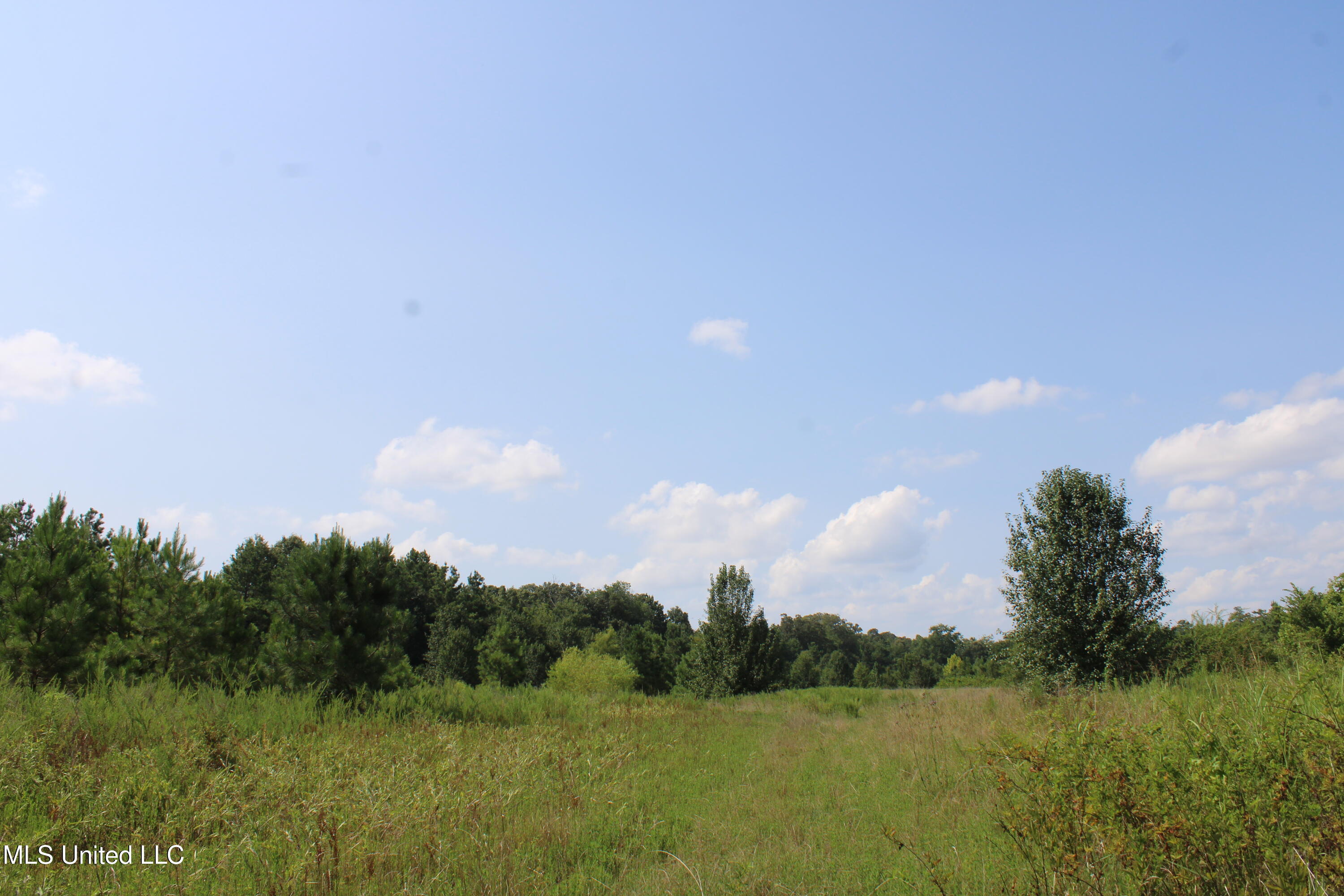 3466 Bethel Road Olive Branch, MS 38654 - Photo 74 of 86 IMG_1724