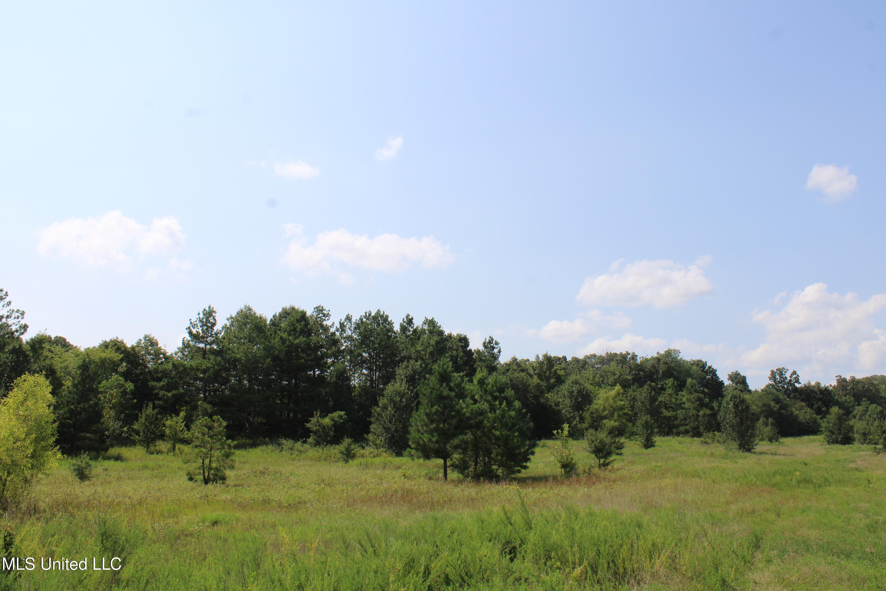 3466 Bethel Road Olive Branch, MS 38654 - Photo 75 of 86 IMG_1725