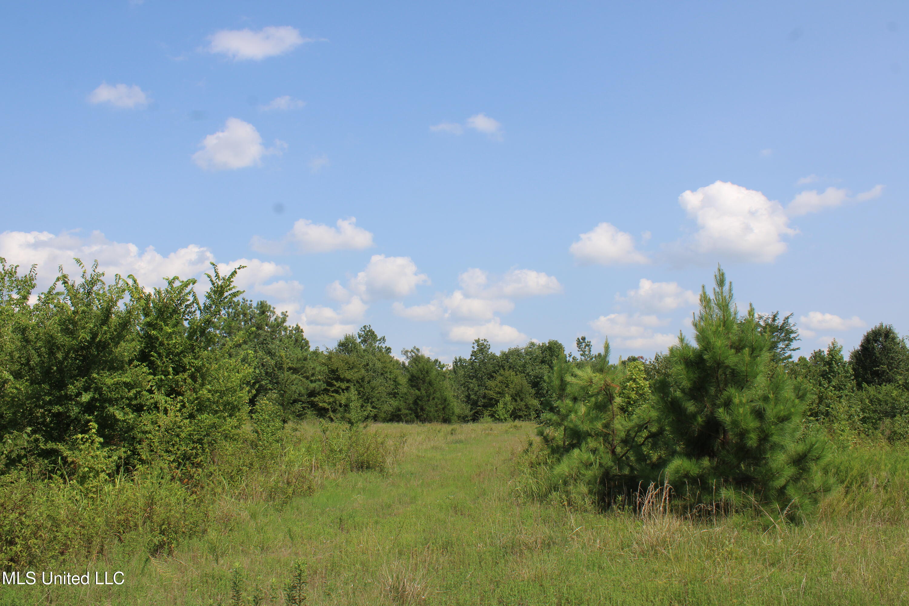 3466 Bethel Road Olive Branch, MS 38654 - Photo 76 of 86 IMG_1726