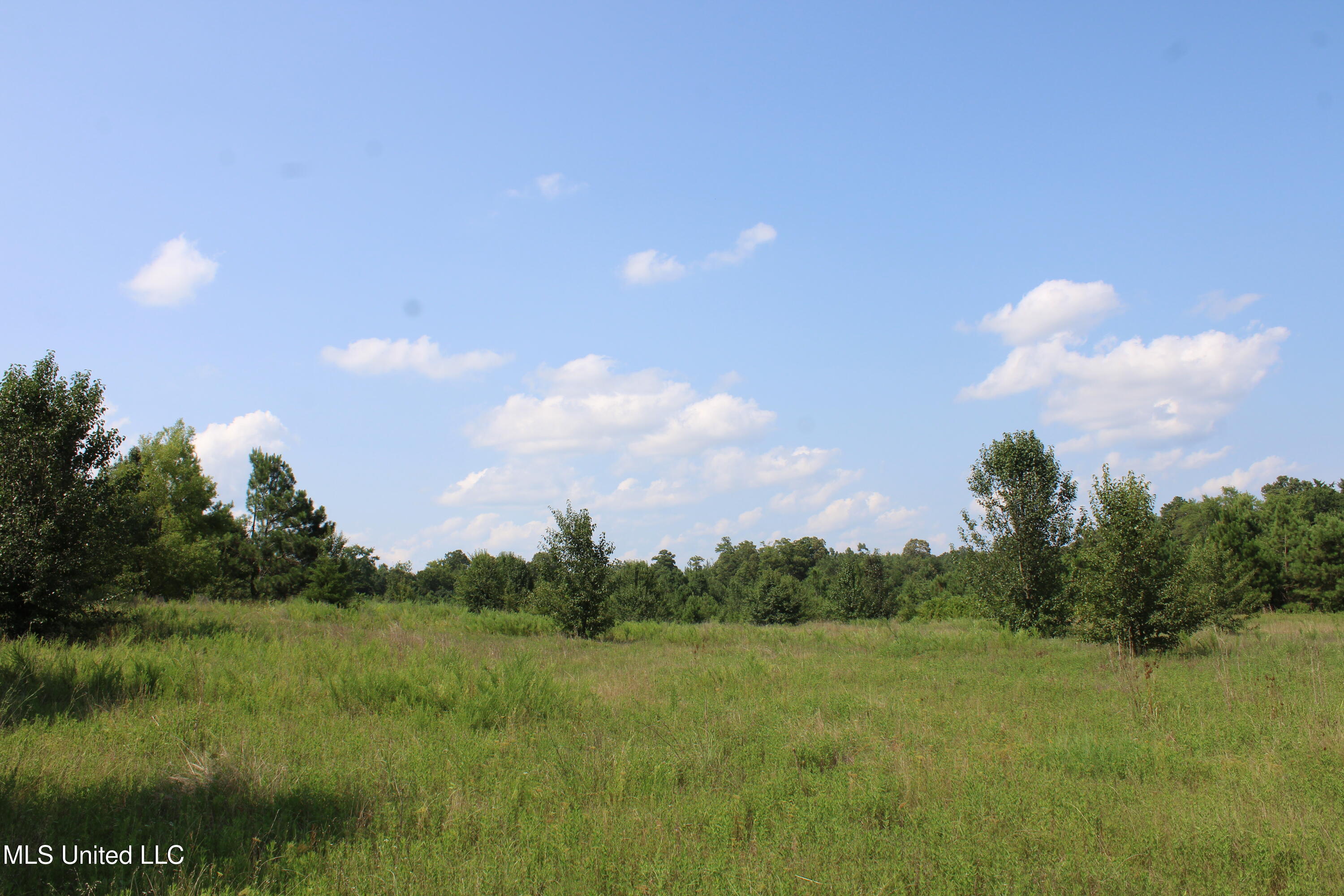 3466 Bethel Road Olive Branch, MS 38654 - Photo 78 of 86 IMG_1728