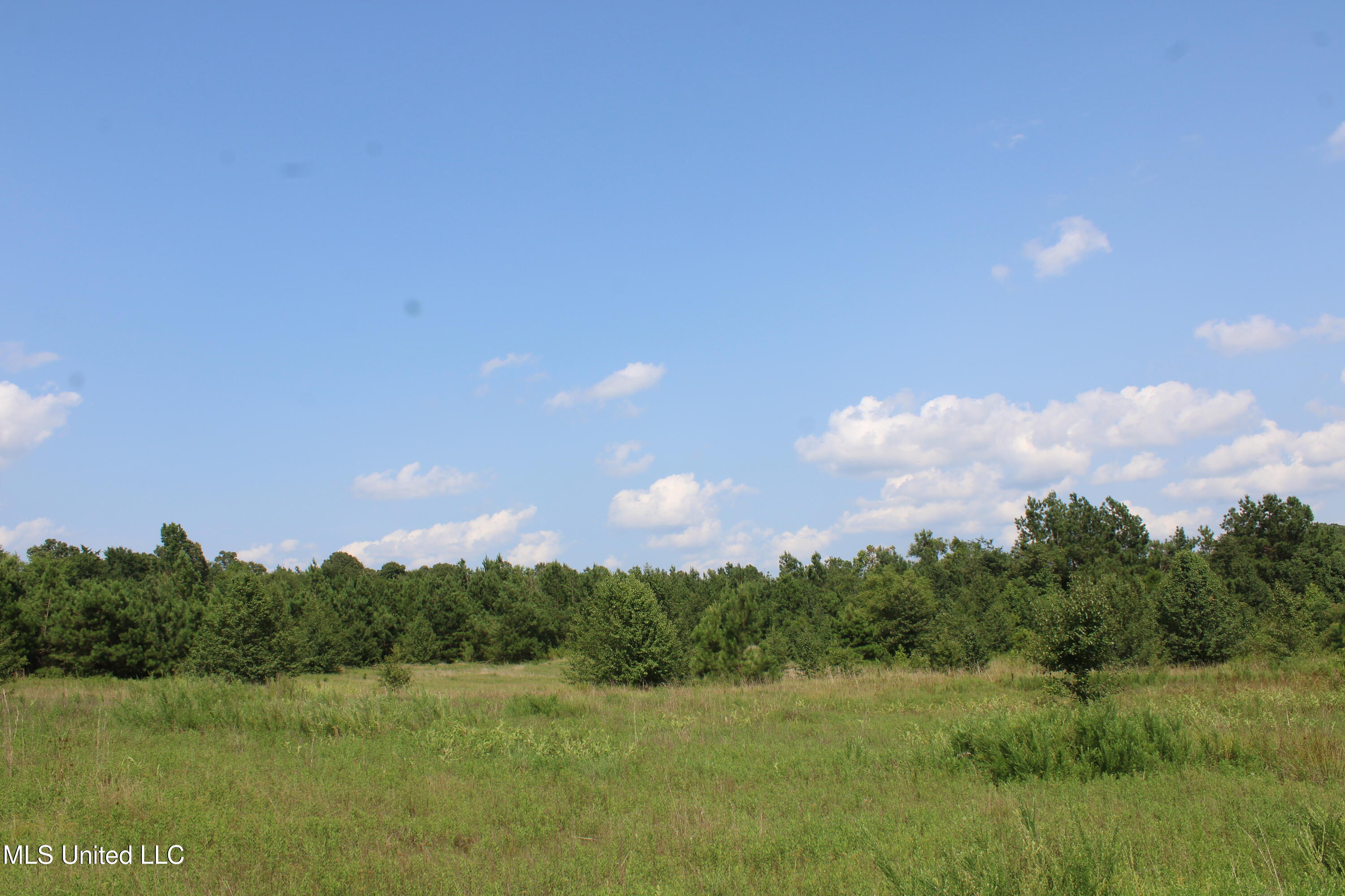 3466 Bethel Road Olive Branch, MS 38654 - Photo 79 of 86 IMG_1729