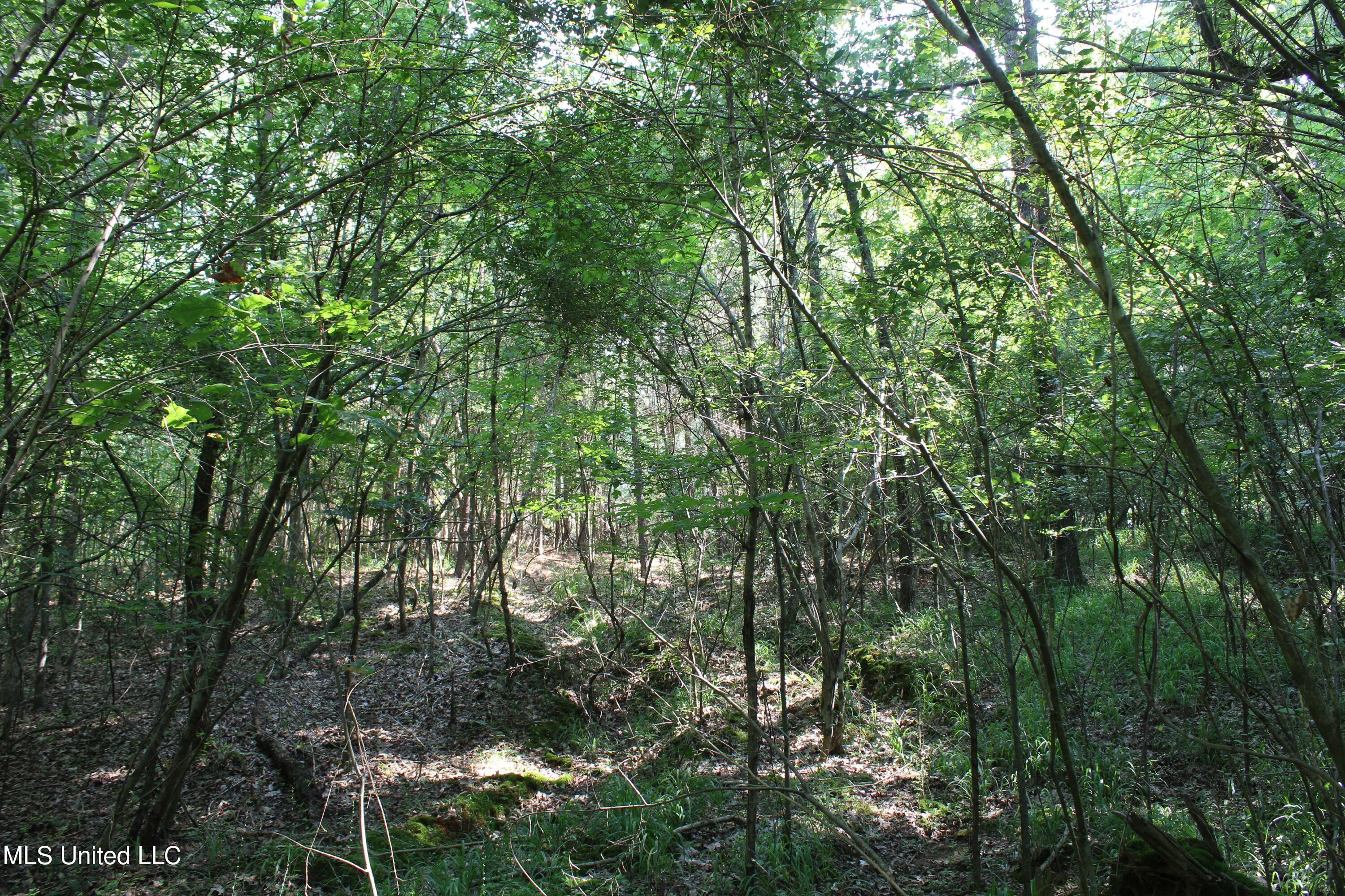 3466 Bethel Road Olive Branch, MS 38654 - Photo 80 of 86 IMG_1730