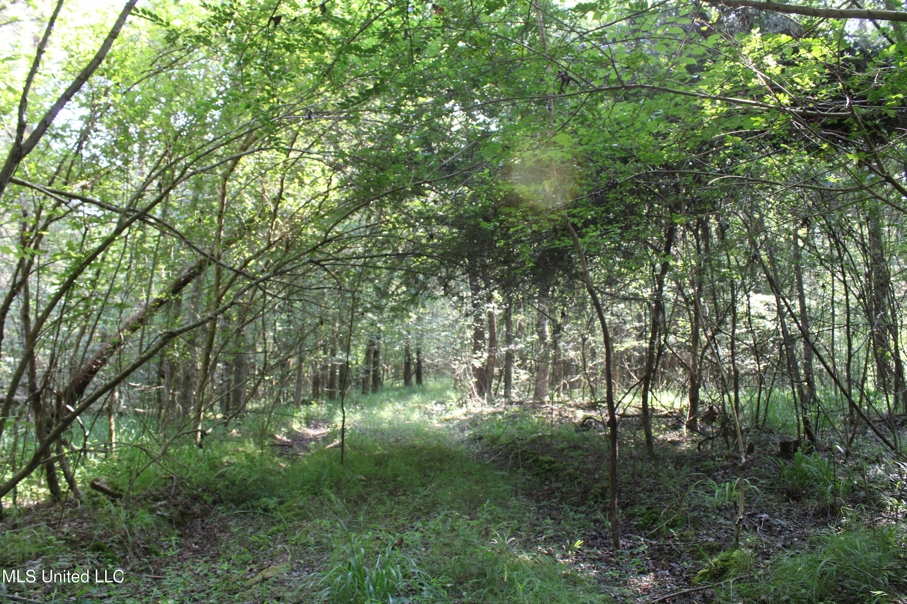 3466 Bethel Road Olive Branch, MS 38654 - Photo 81 of 86 IMG_1731