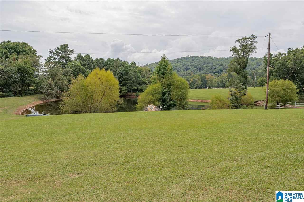 8560 Will Keith Road Trussville, AL 35173 - Photo 50 of 50