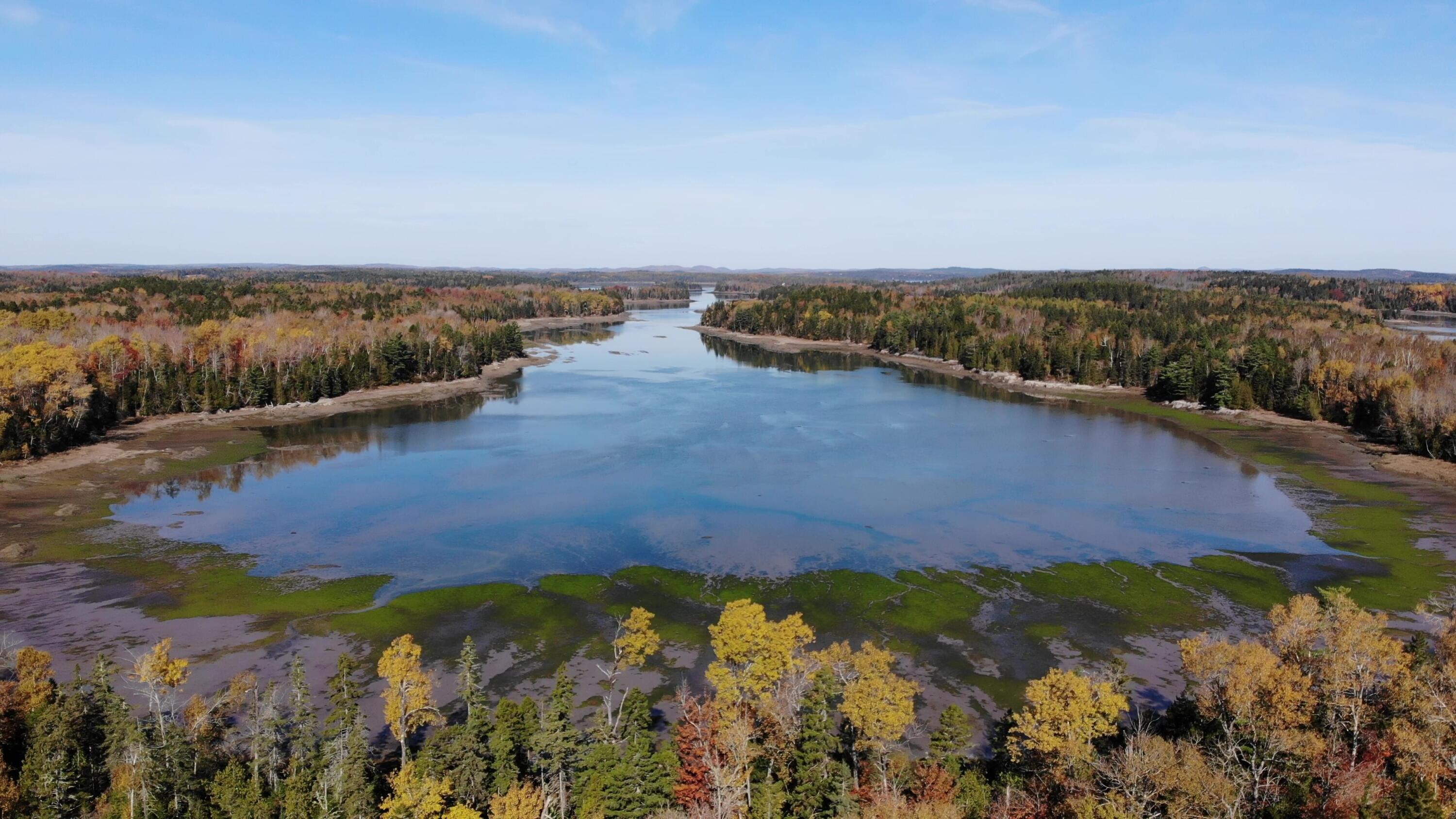 35 Coffins Neck Road Lubec, ME 04652 - Photo 1 of 58 DJI_0111 - frame at 3m16s