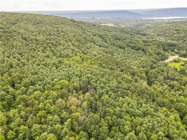 $60,000 | 0 Dugway Road, Canandaigua, NY 14424