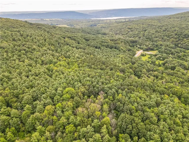 $60,000 | 0 Dugway Road, Canandaigua, NY 14424