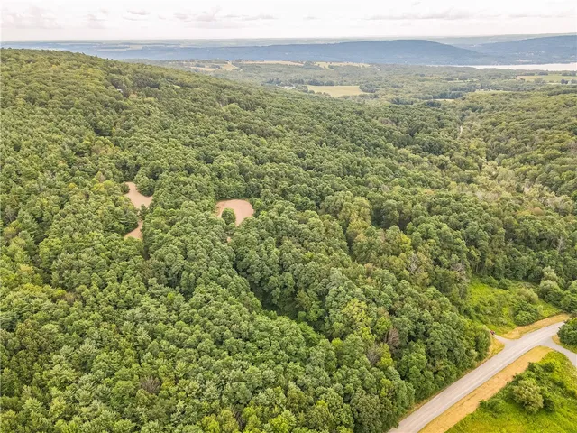 $60,000 | 0 Dugway Road, Canandaigua, NY 14424