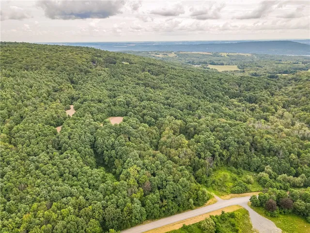 $60,000 | 0 Dugway Road, Canandaigua, NY 14424