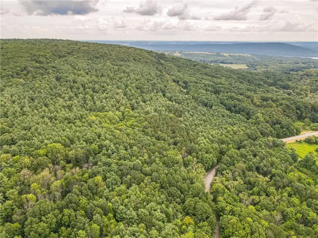 $60,000 | 0 Dugway Road, Canandaigua, NY 14424