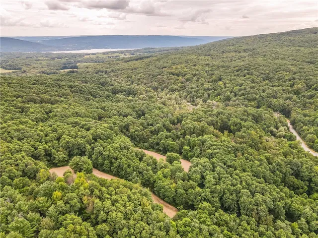 $60,000 | 0 Dugway Road, Canandaigua, NY 14424