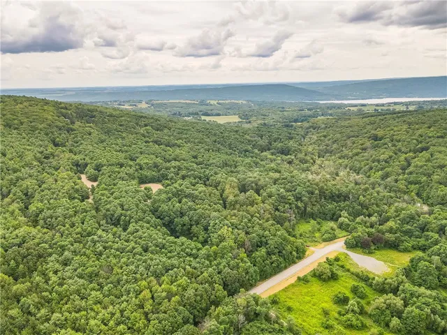 $60,000 | 0 Dugway Road, Canandaigua, NY 14424