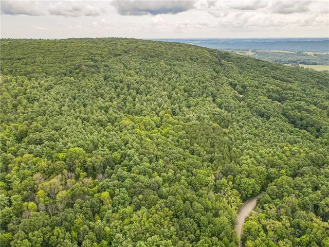 $60,000 | 0 Dugway Road, Canandaigua, NY 14424