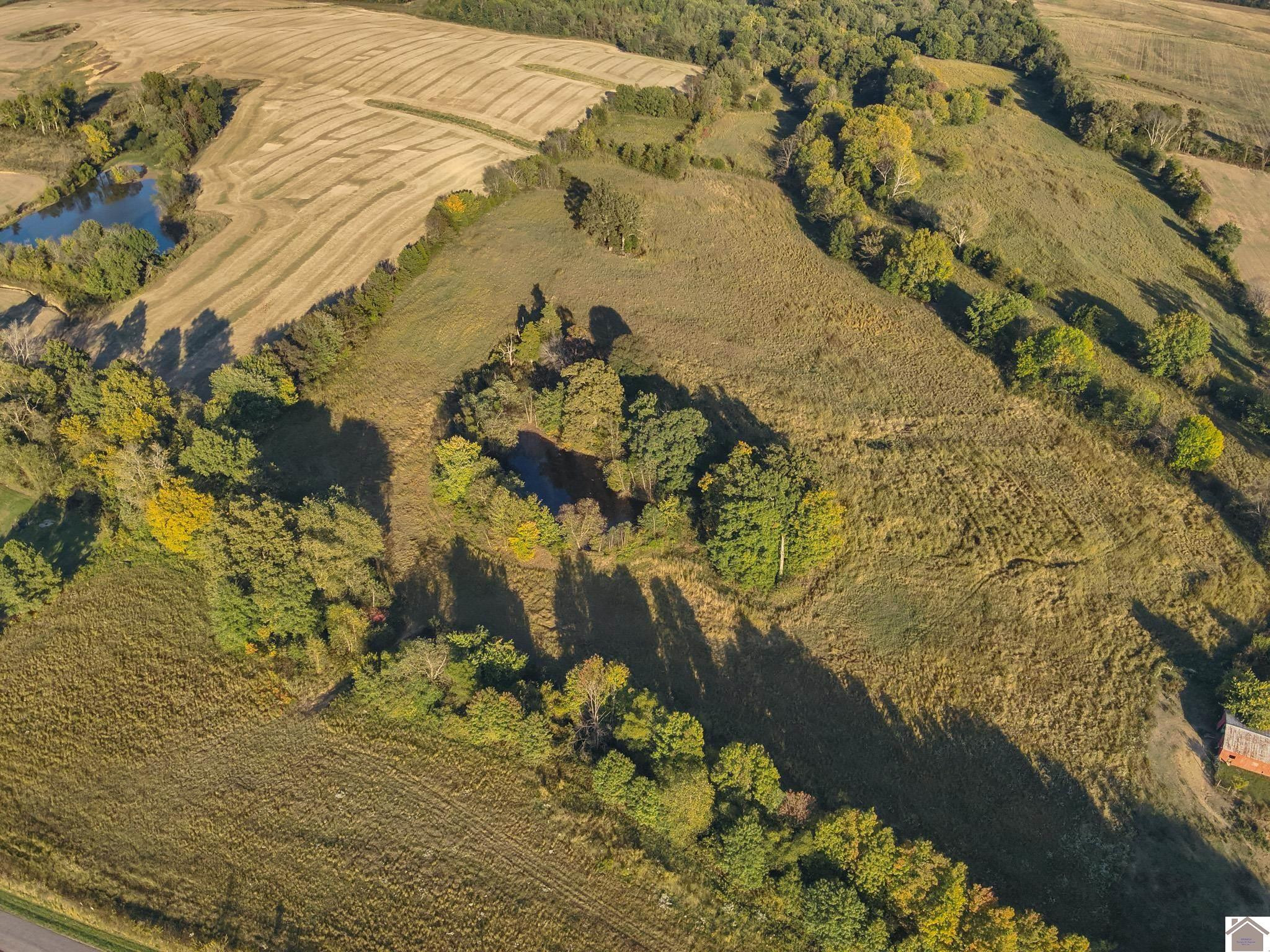 0 Wingo Road Wingo, KY 42088 - Photo 4 of 18 Photo 4