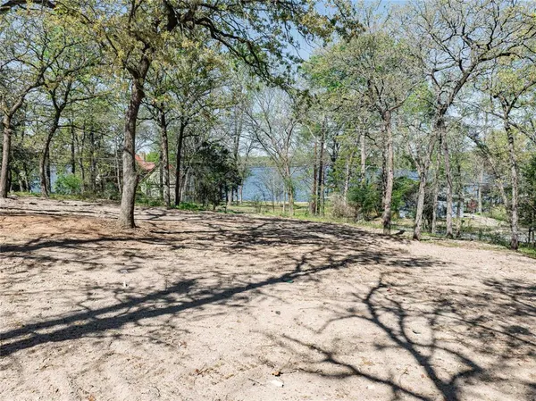 a view of a yard with a tree