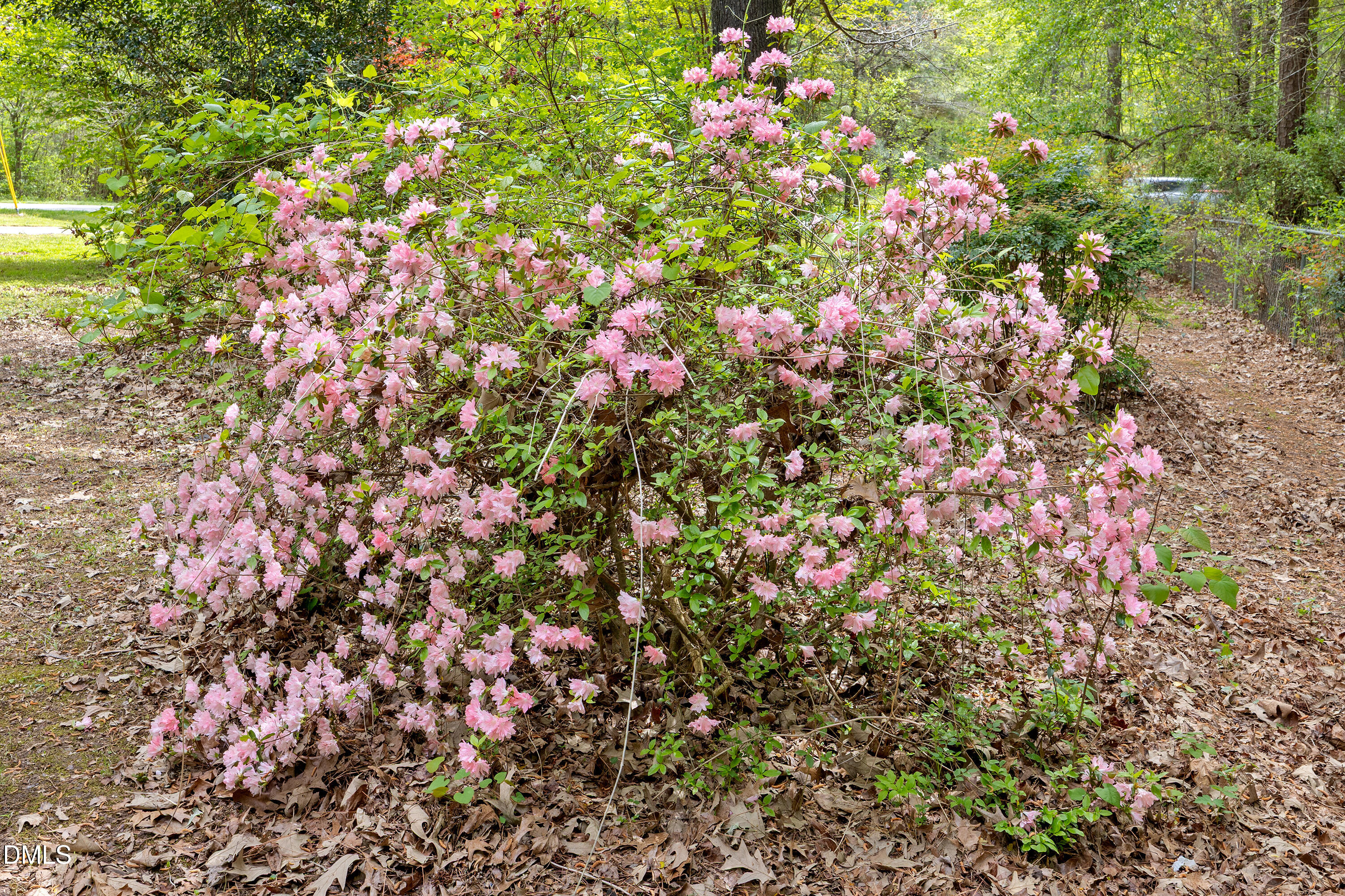 2840 Banks Road Raleigh, NC 27603 - Photo 46 of 50 50-2840 Banks _9863