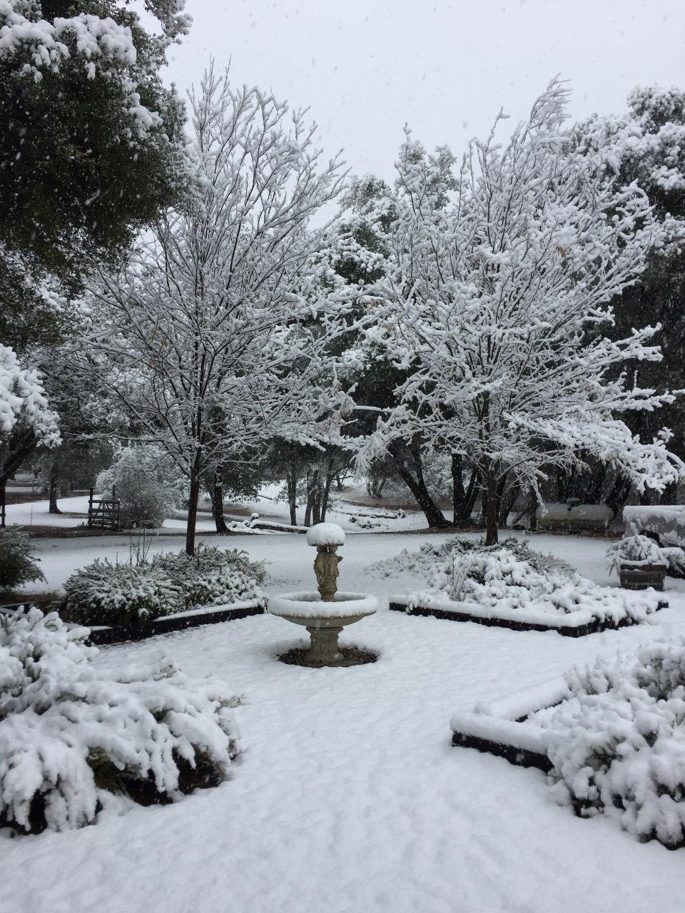 39406 John West Road Oakhurst, CA 93644 - Photo 27 of 38