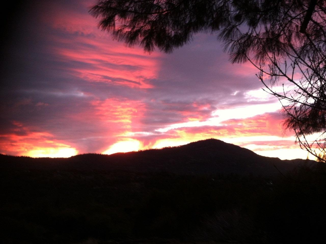 39406 John West Road Oakhurst, CA 93644 - Photo 35 of 38