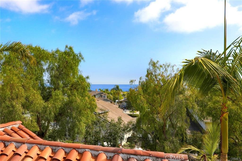 19 Terraza Del Mar Dana Point, CA 92629 - Photo 3 of 25 a view of a yard