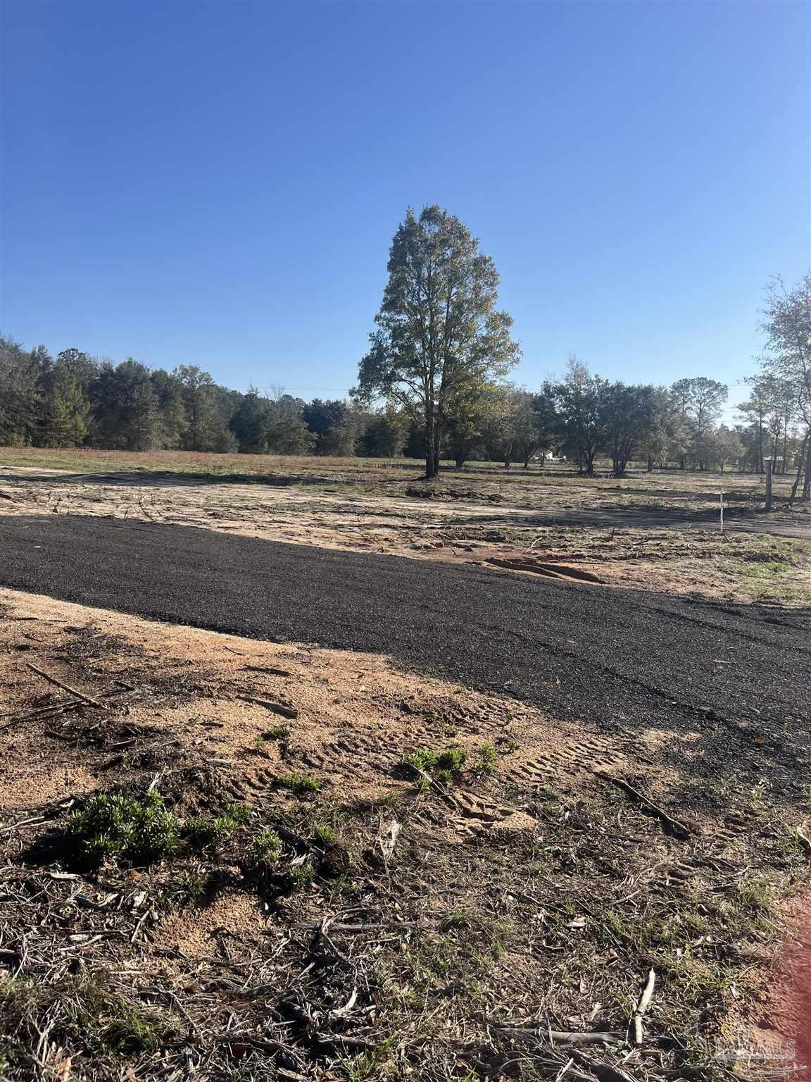 0 South Trace Road Milton, FL 32583 - Photo 1 of 1